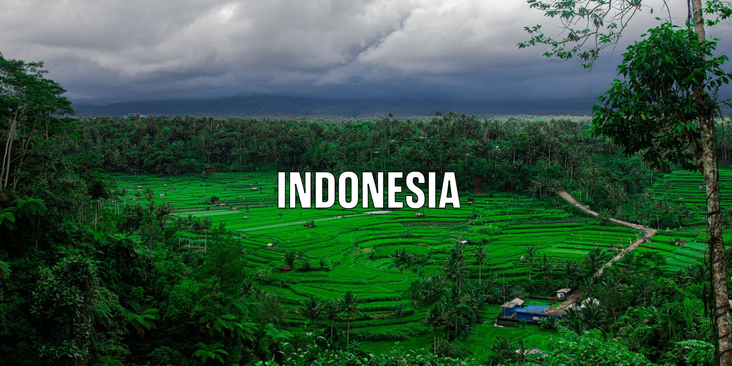 Indonesia Title-1.jpg