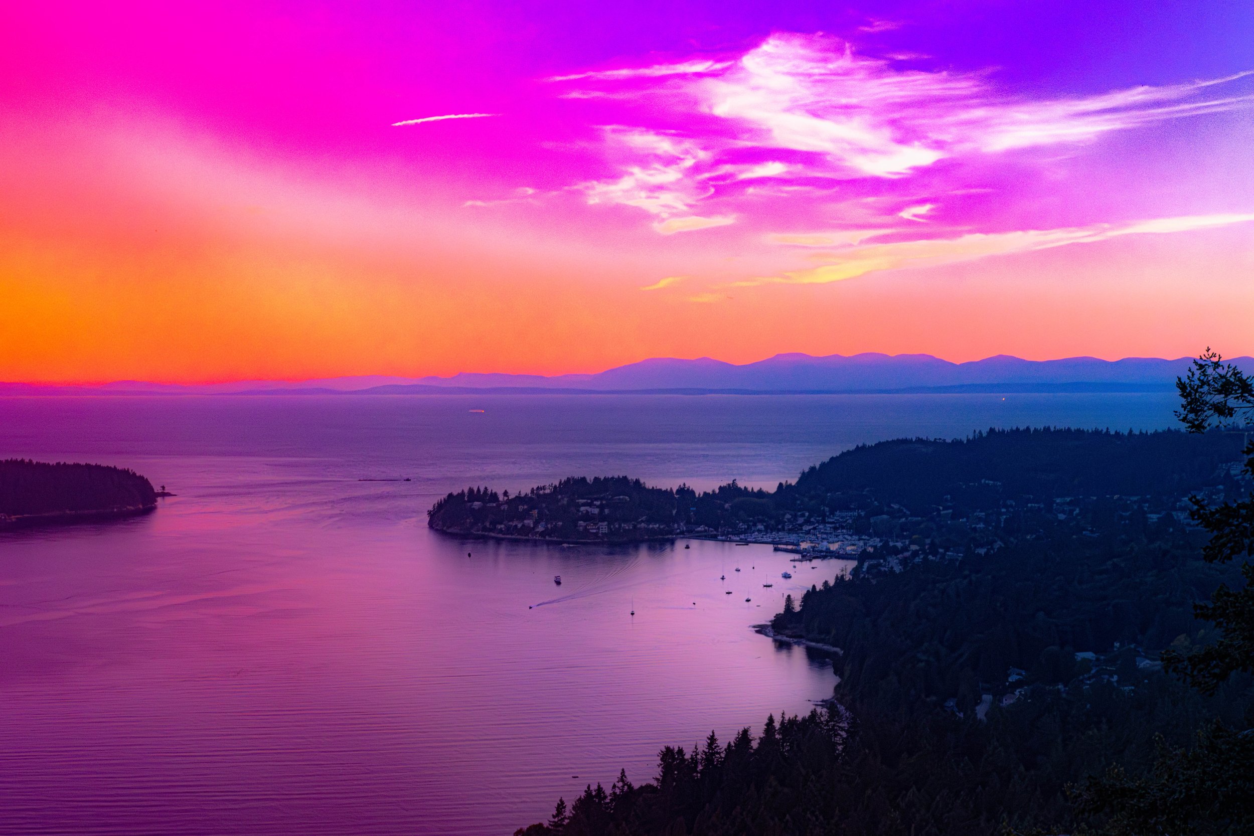 The Sunshine Coast 2