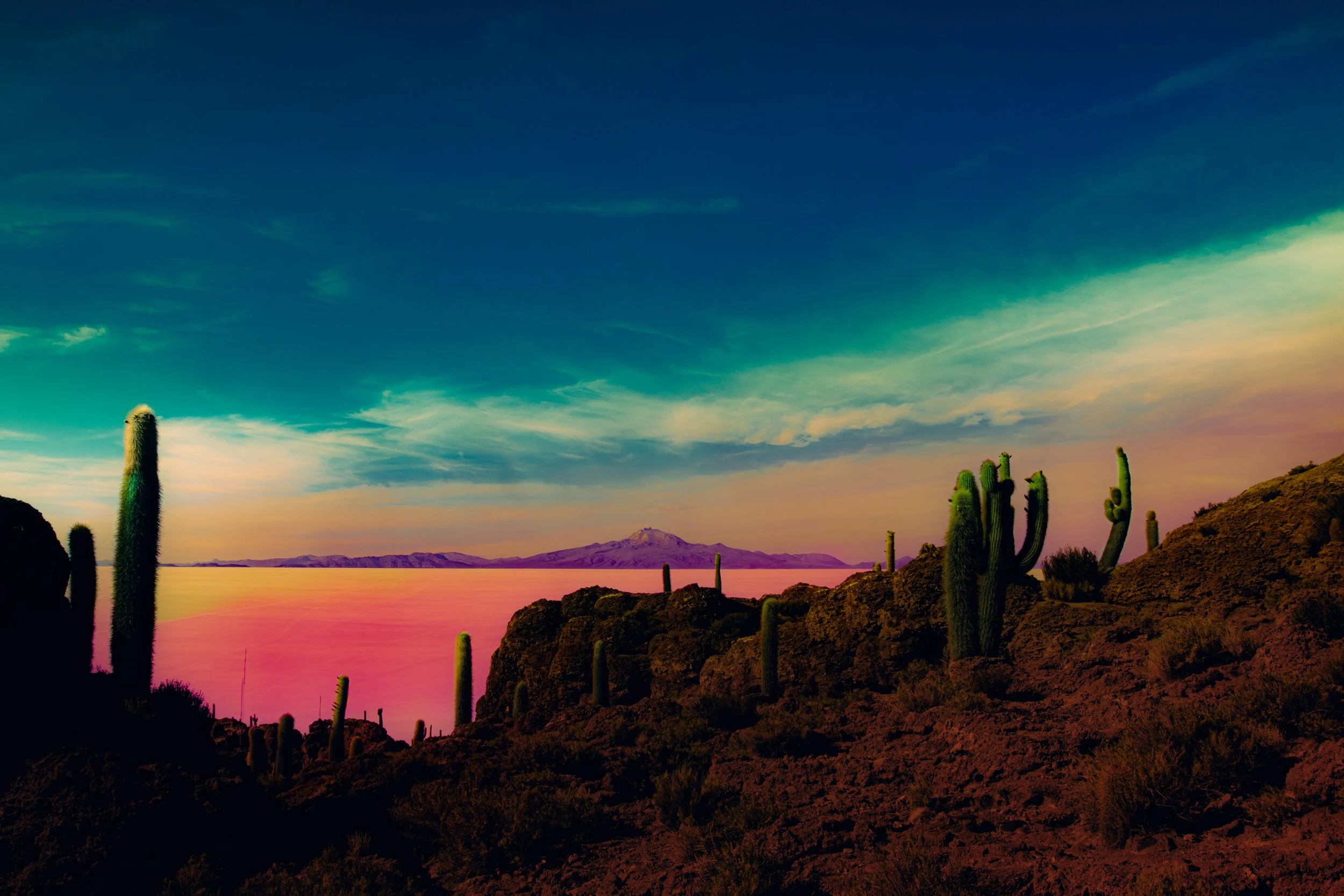 Psychedelic salt flats