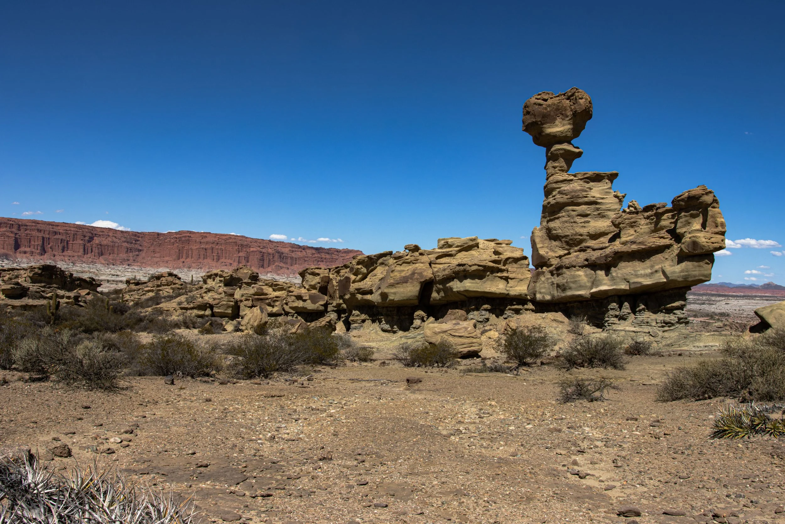 Argentina Desert 2