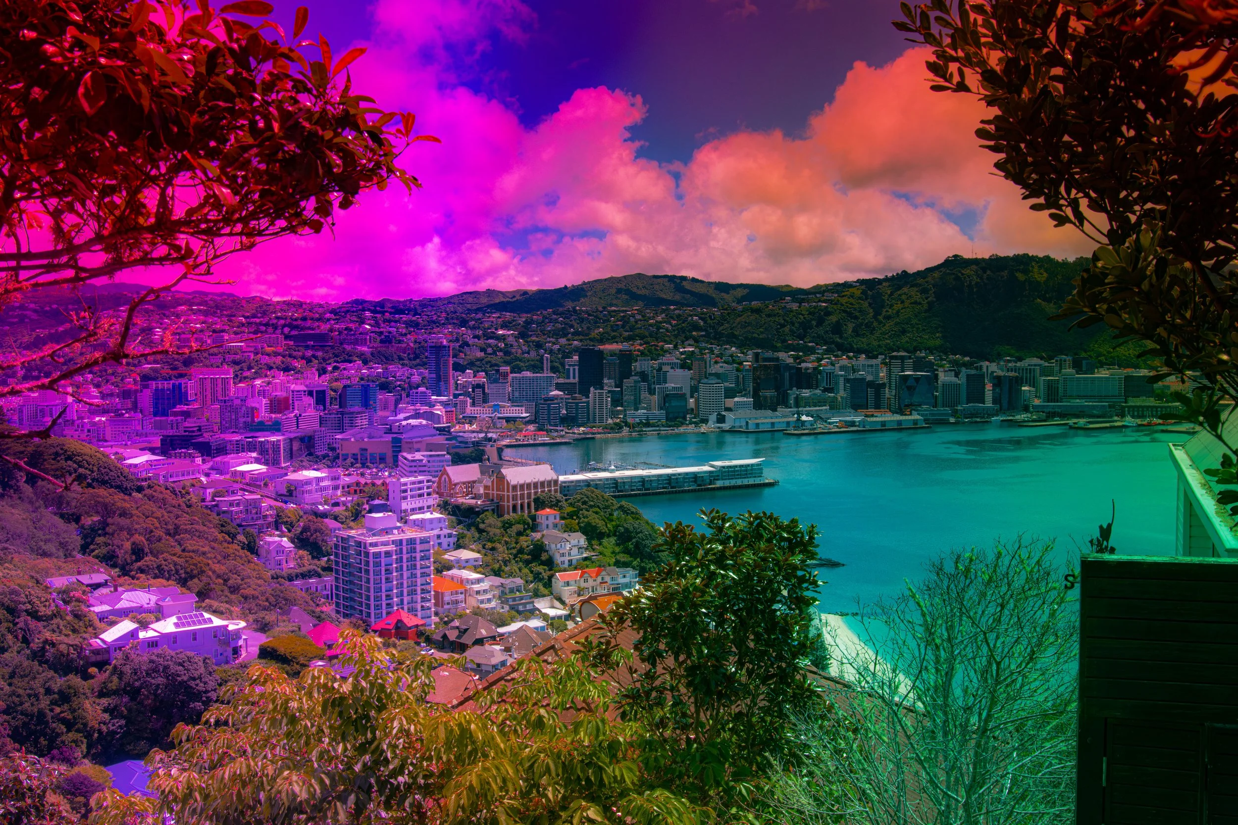 Wellington-2.jpg