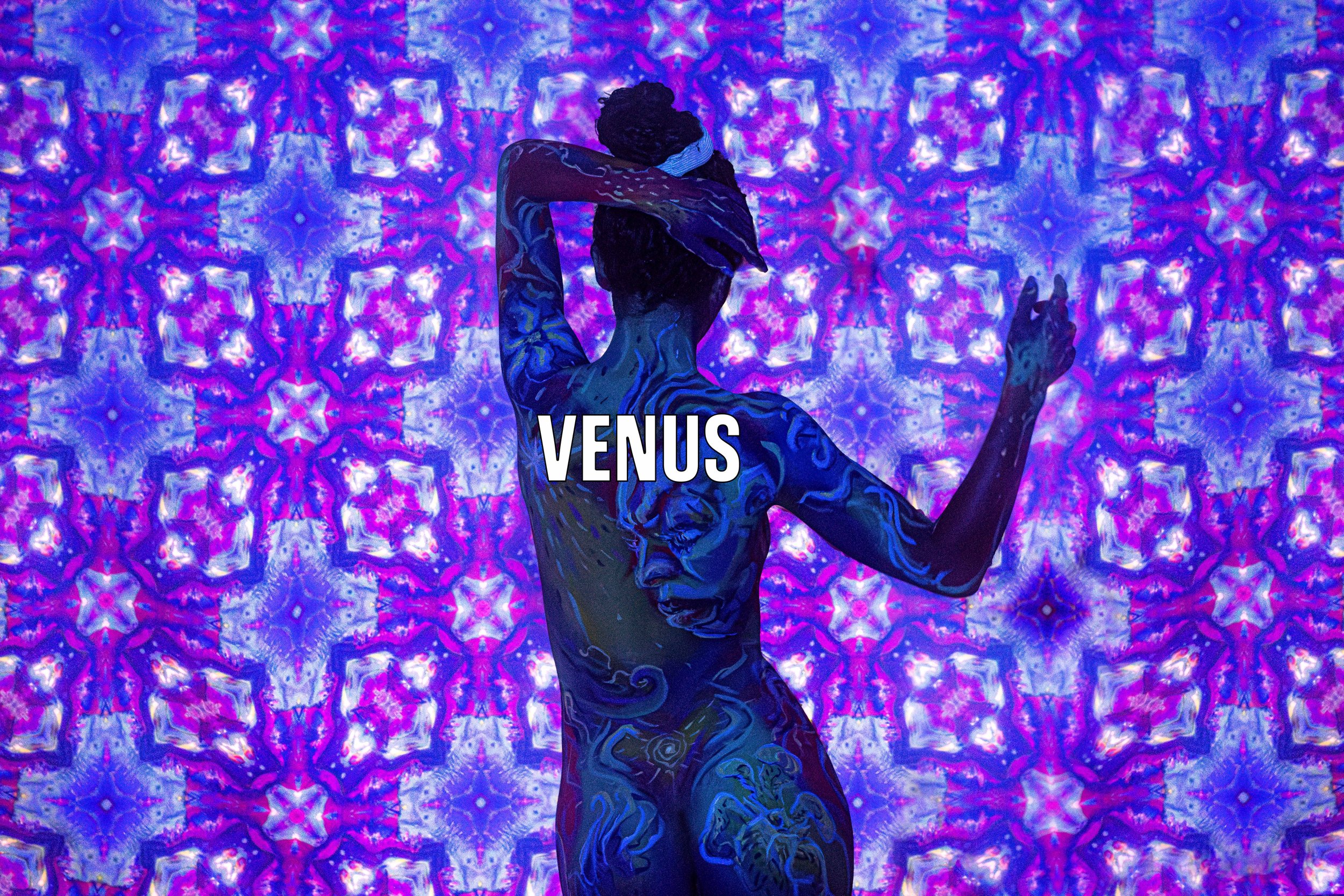 VENUS-1.jpg
