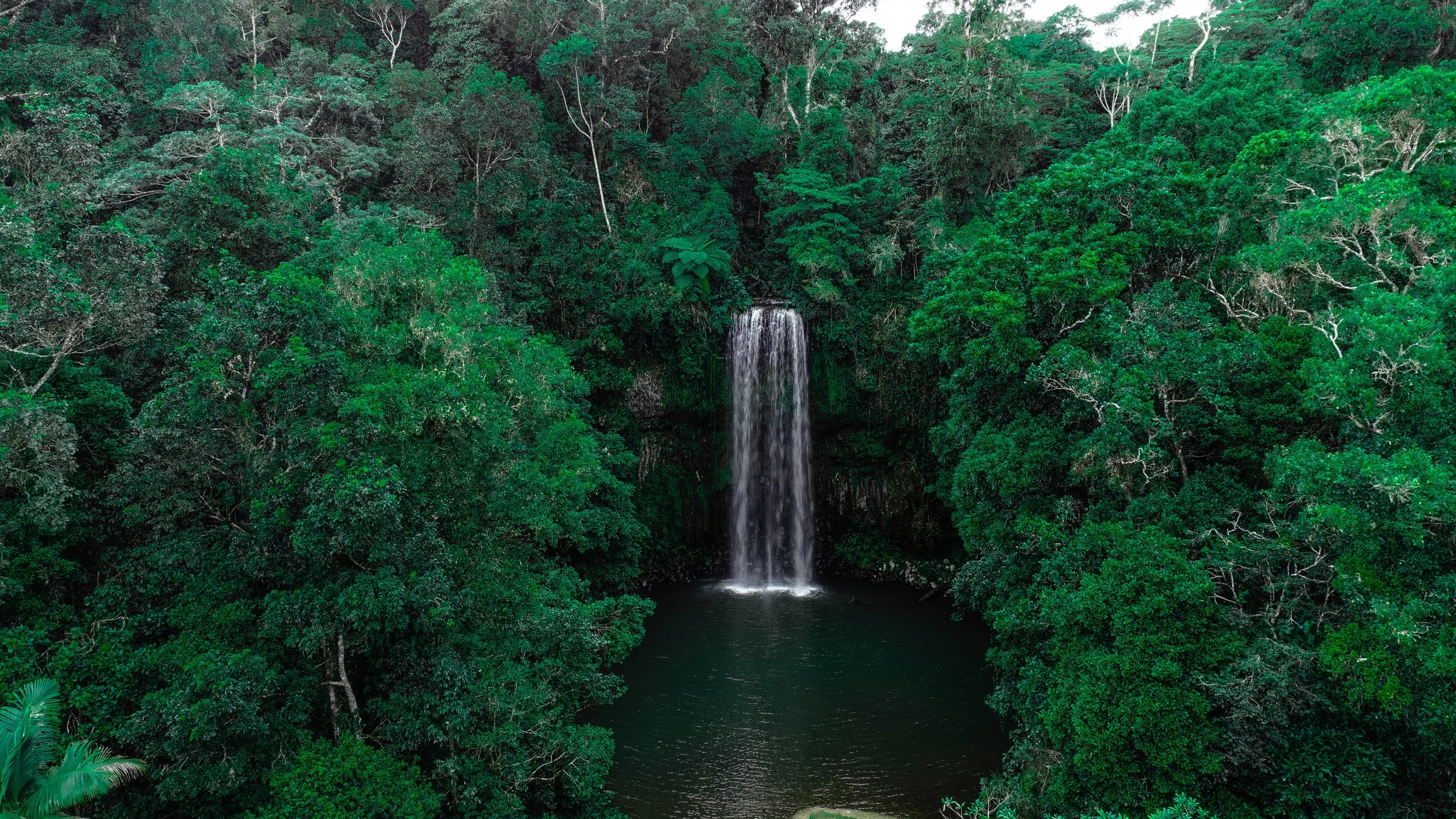 queensland_waterfall.jpg