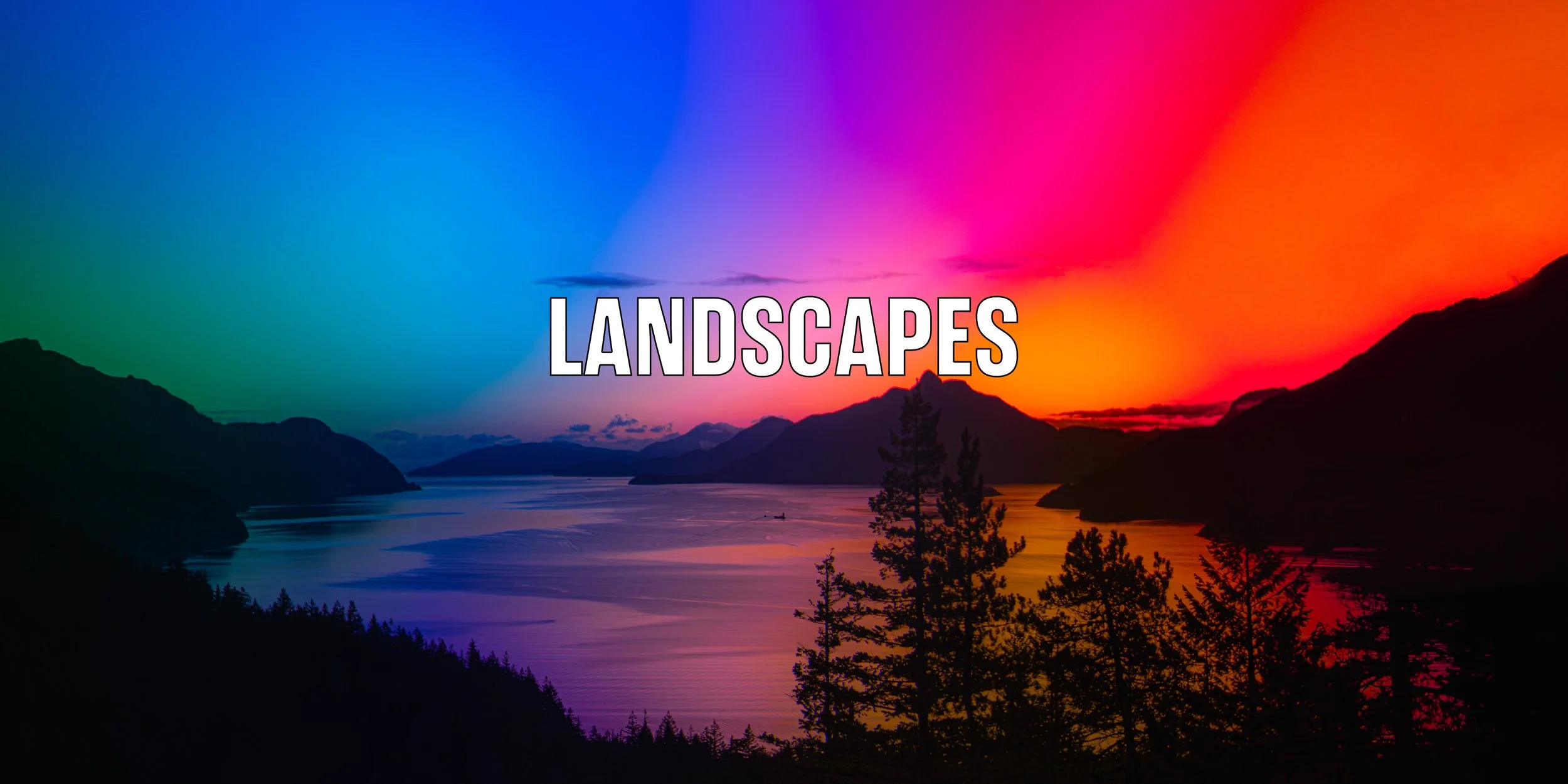lANDSCAPES title-1.jpg