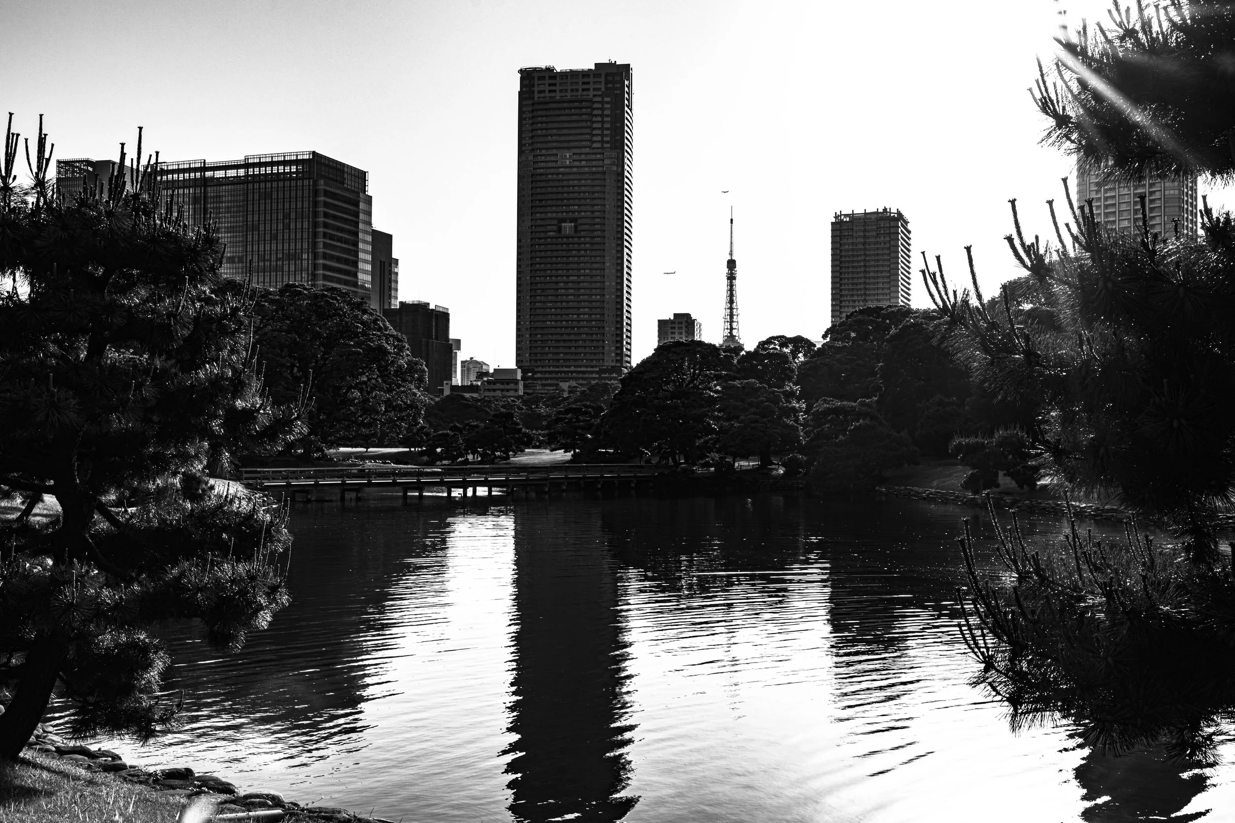 tokyobw.jpg