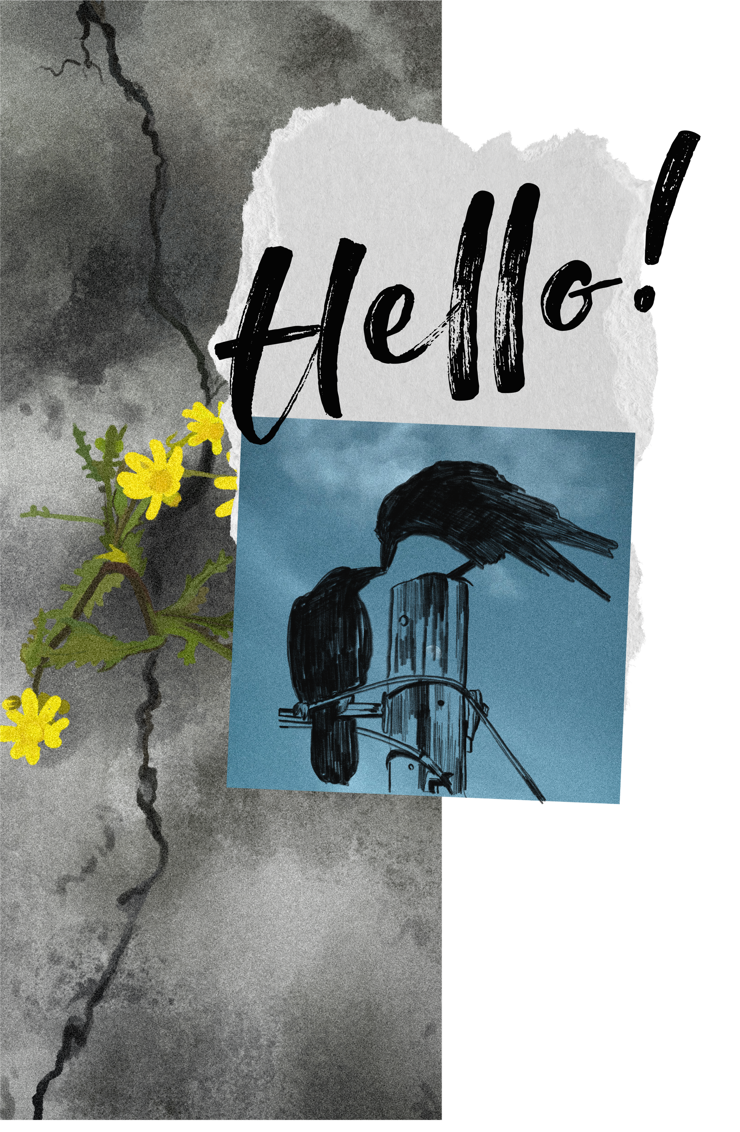 A collage featuring a cracked gray concrete surface with a yellow flowering plant, a torn piece of paper with "Hello" written on it, and a blue-toned drawing of two black birds perched on a wooden post.