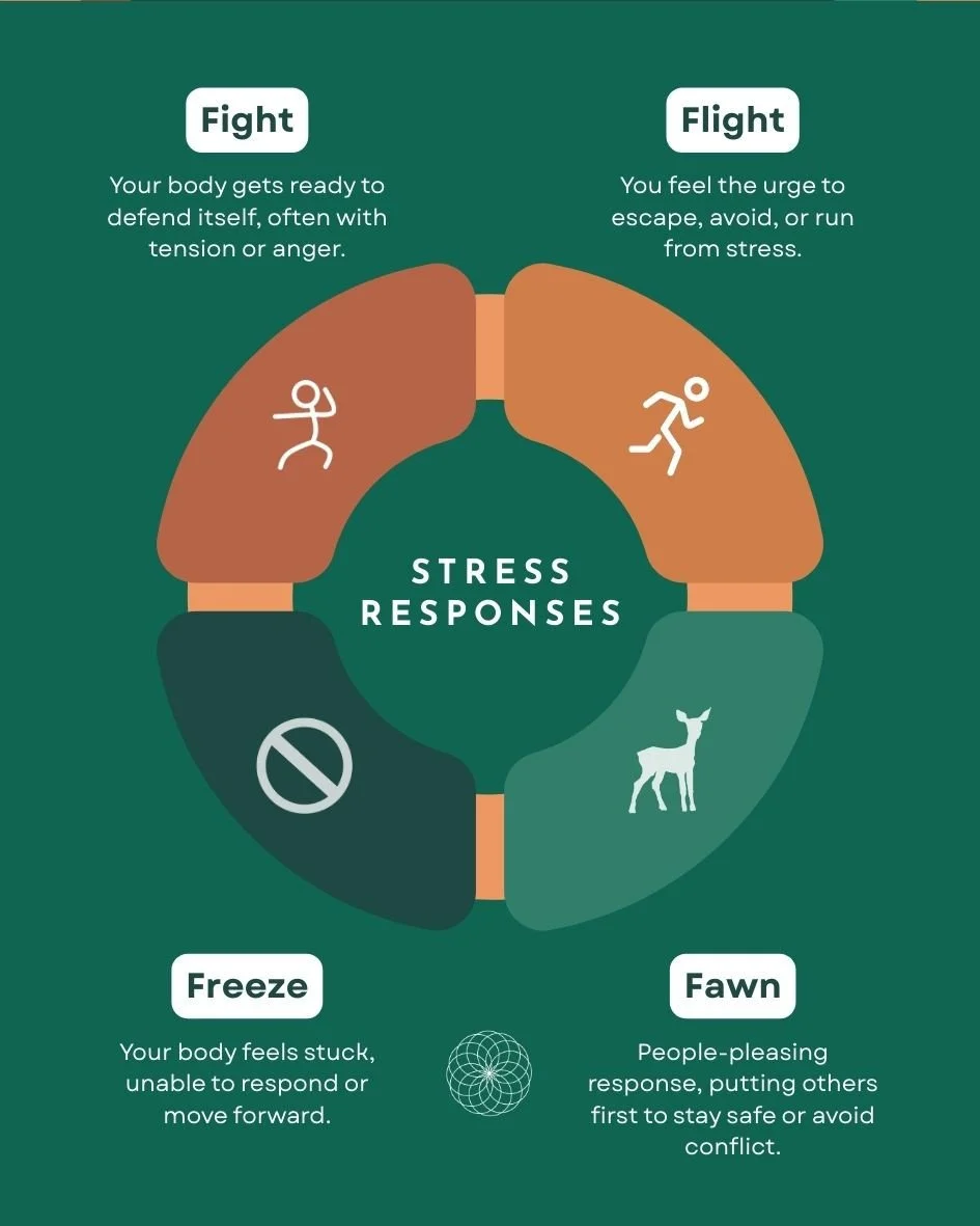 Your stress response is your body&rsquo;s built in way of keeping you safe.⁠
⁠
When your brain senses a threat (physical, mental, or emotional), it signals your body to prepare (releasing stress hormones, increasing heart rate, and shifting energy aw