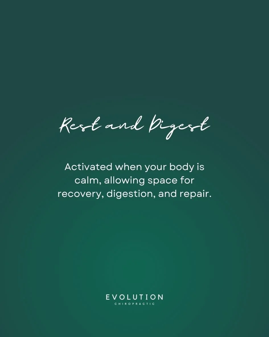 By supporting spinal mobility and nervous system balance, chiropractic care may help your body find it easier to reach rest and digest. 💚