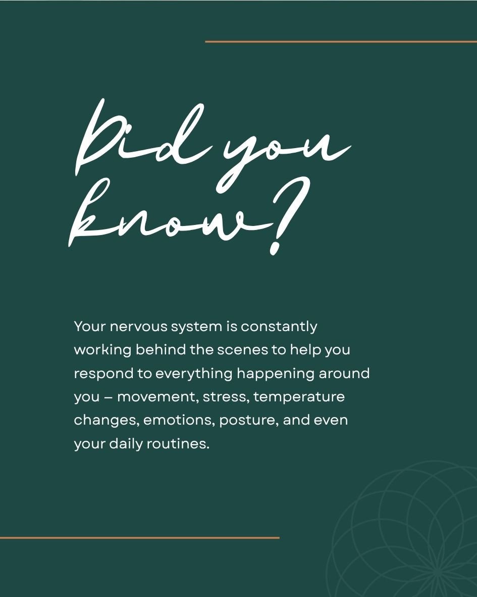 We love supporting you and your nervous system! 💚