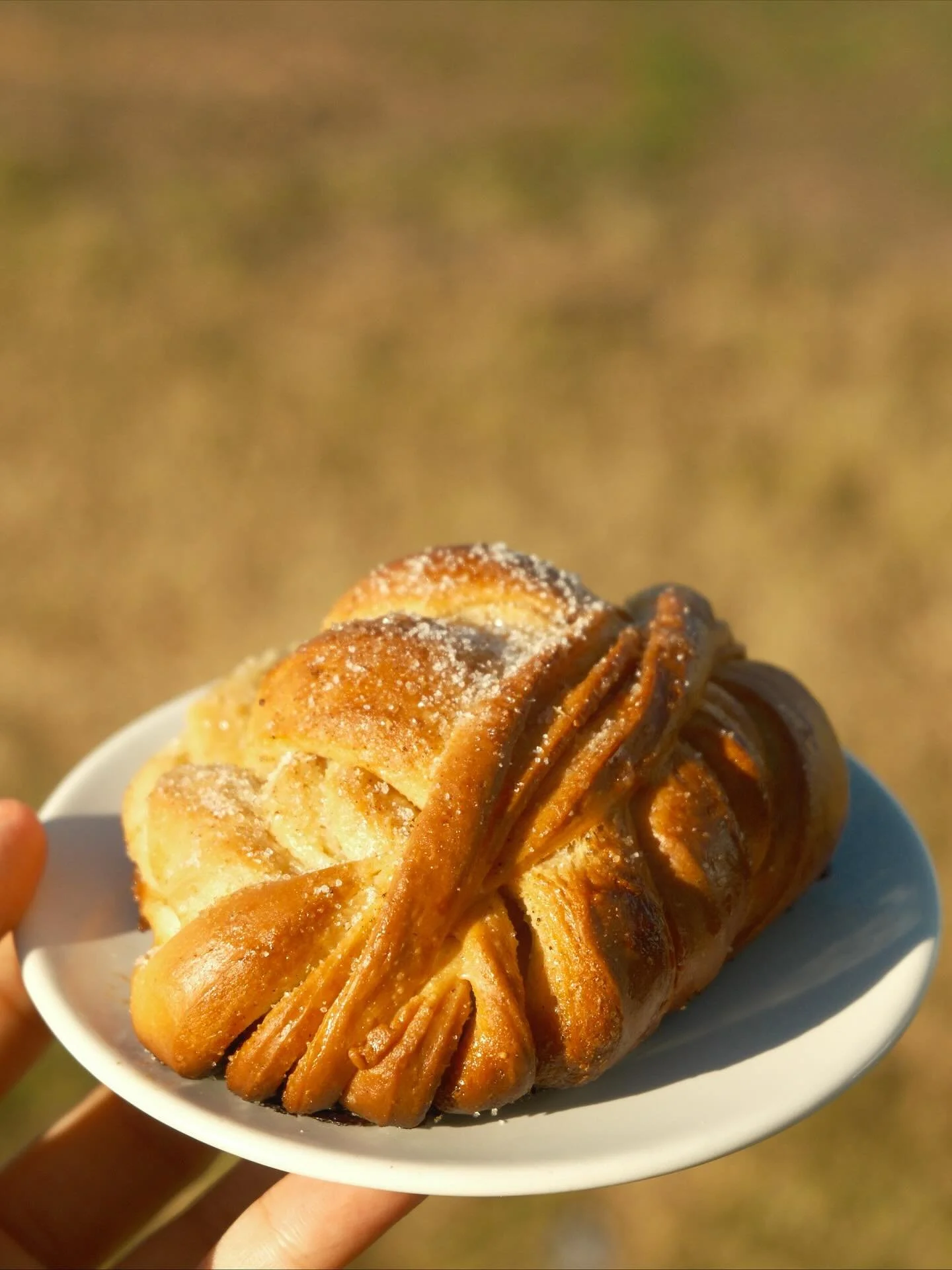 Aromatic, soft, lightly sweet &mdash; our house-made cardamom buns are the perfect pair to your pour-over or latte 🥐