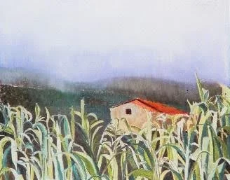 Cornfield