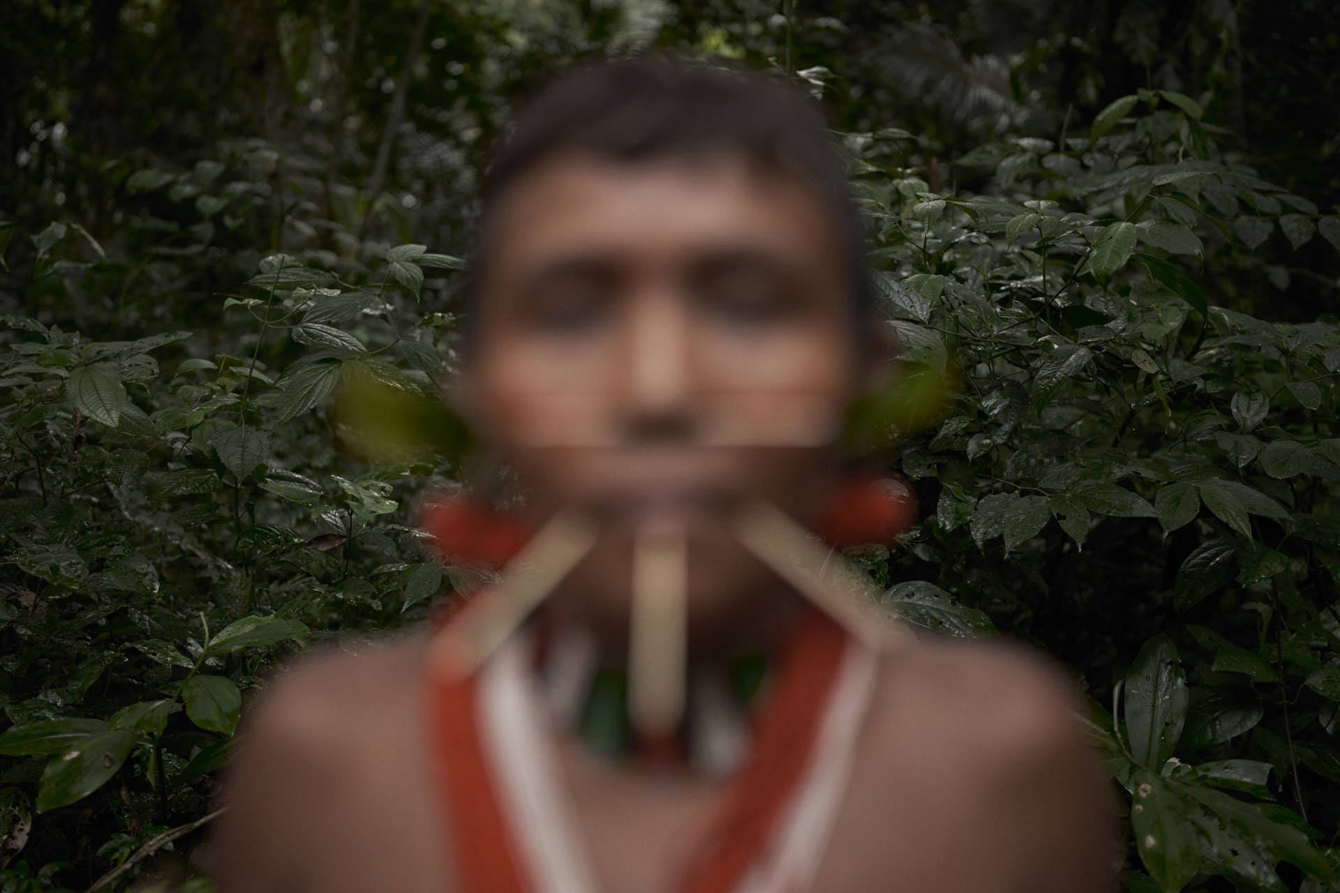 Yanomami_PA_00.jpg