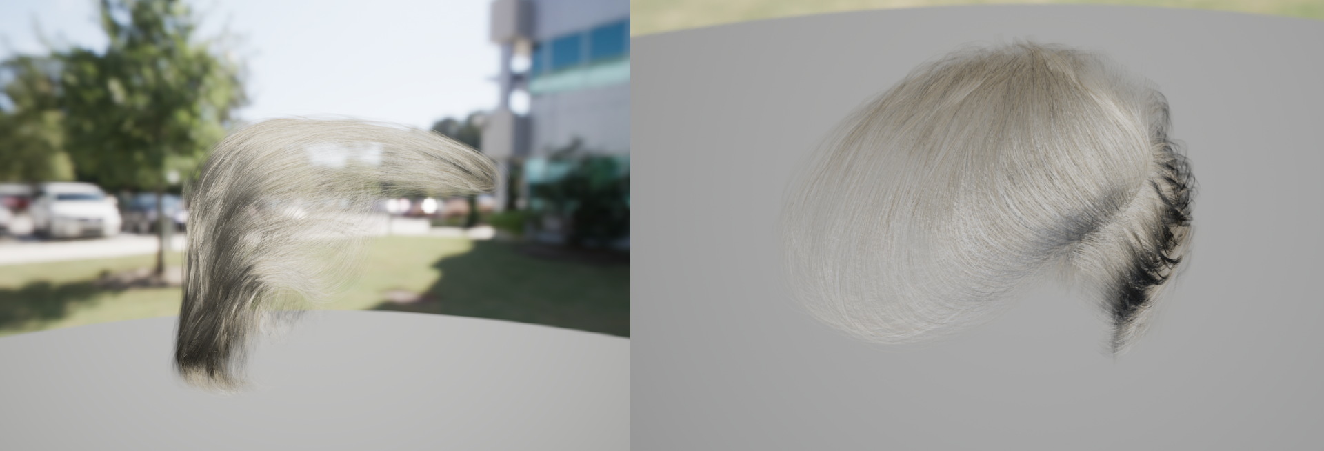 hair.png