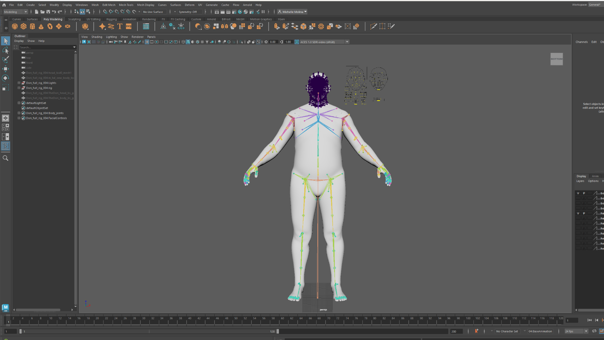 don rig.png