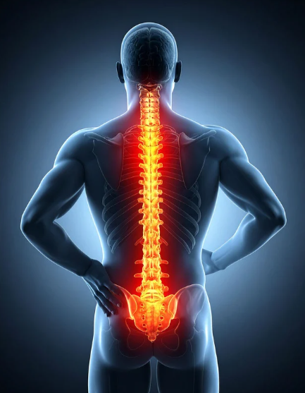 Digital illustration of a person's back highlighting the spine with a red glow indicating pain or injury.