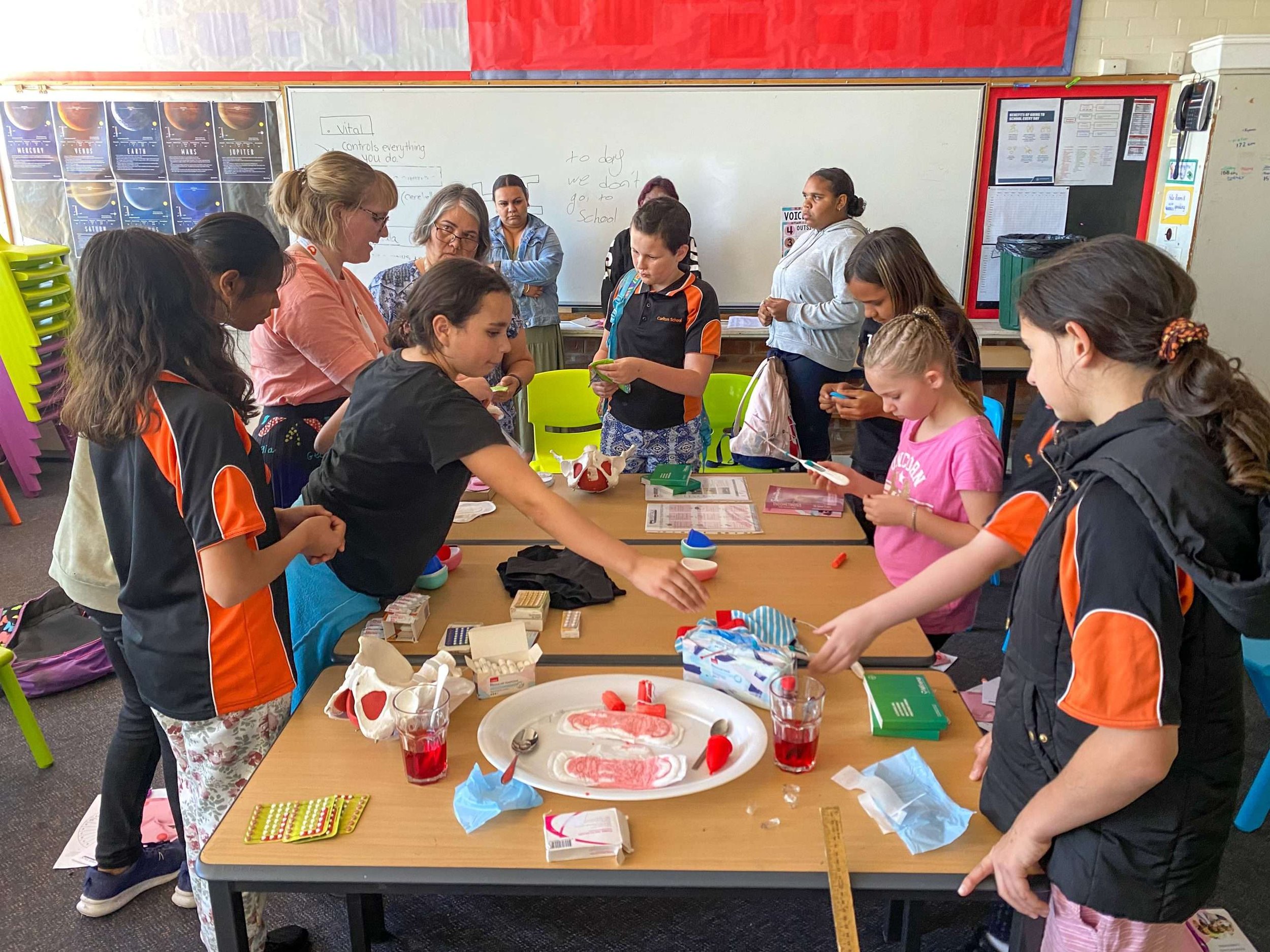 Menstrual Education, grade 5-9