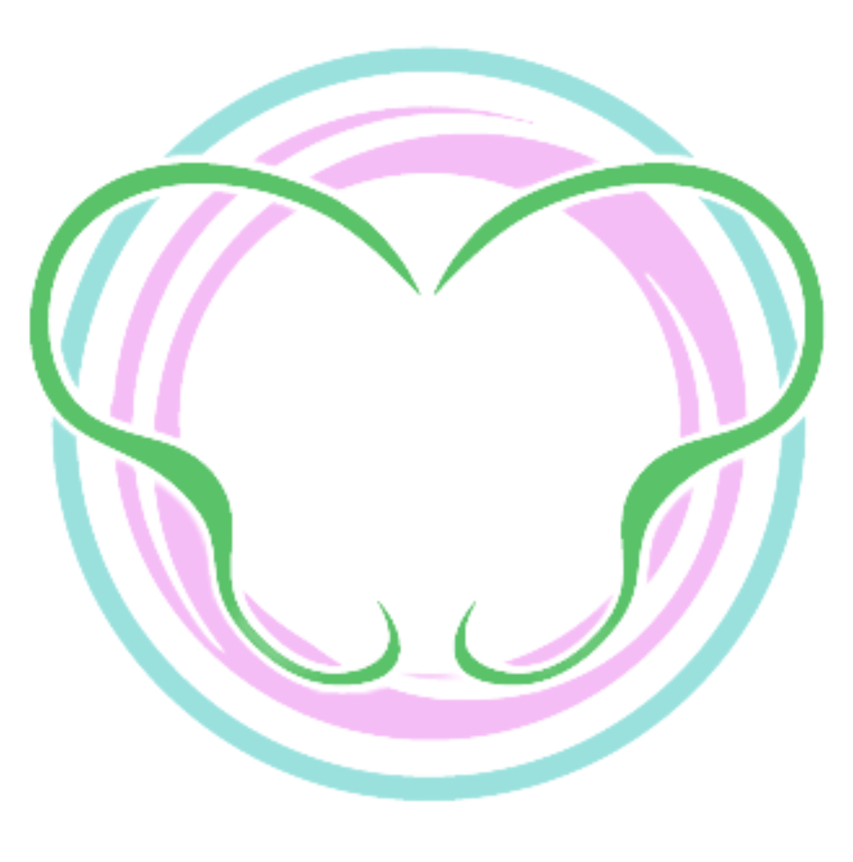 QLD Pelvic Pain Network (QPPN) annual subscription and next event – 24 February 2026