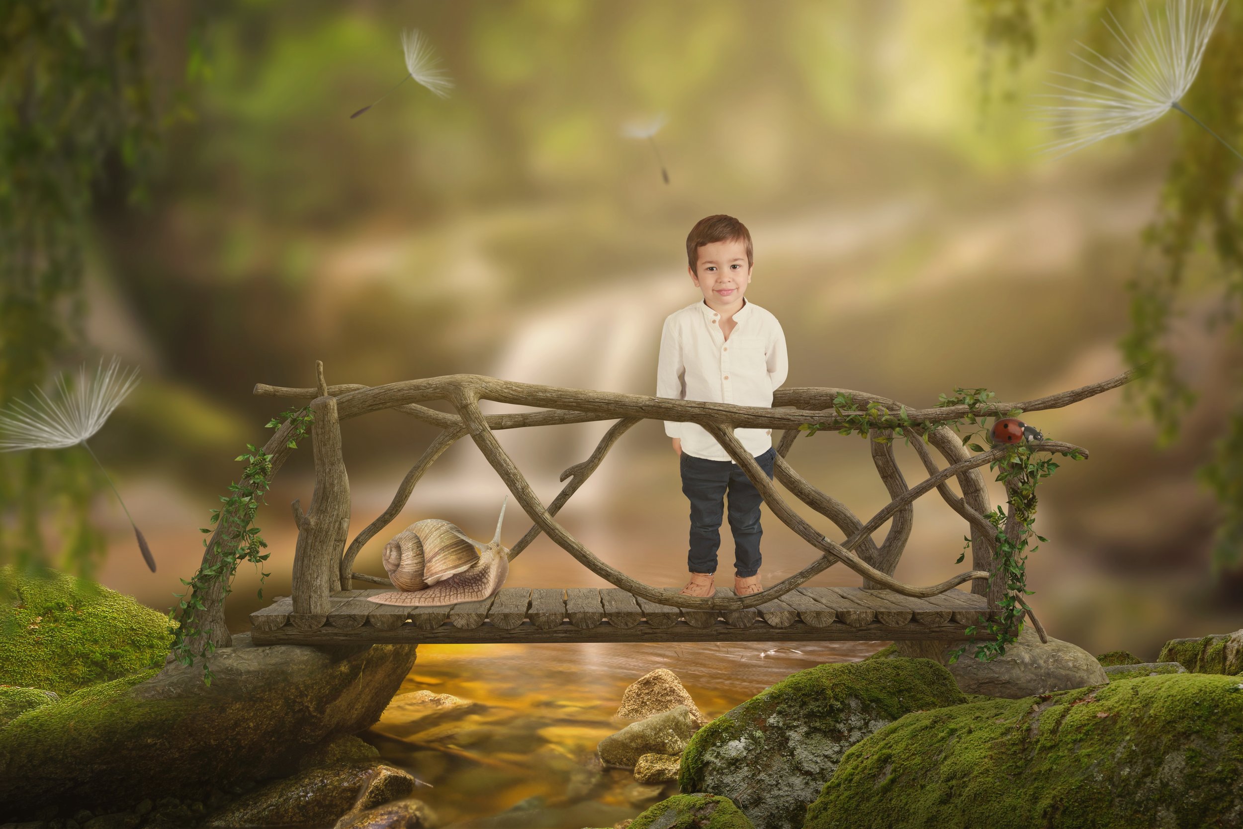 FairyBridge_Background_boy-3.jpg