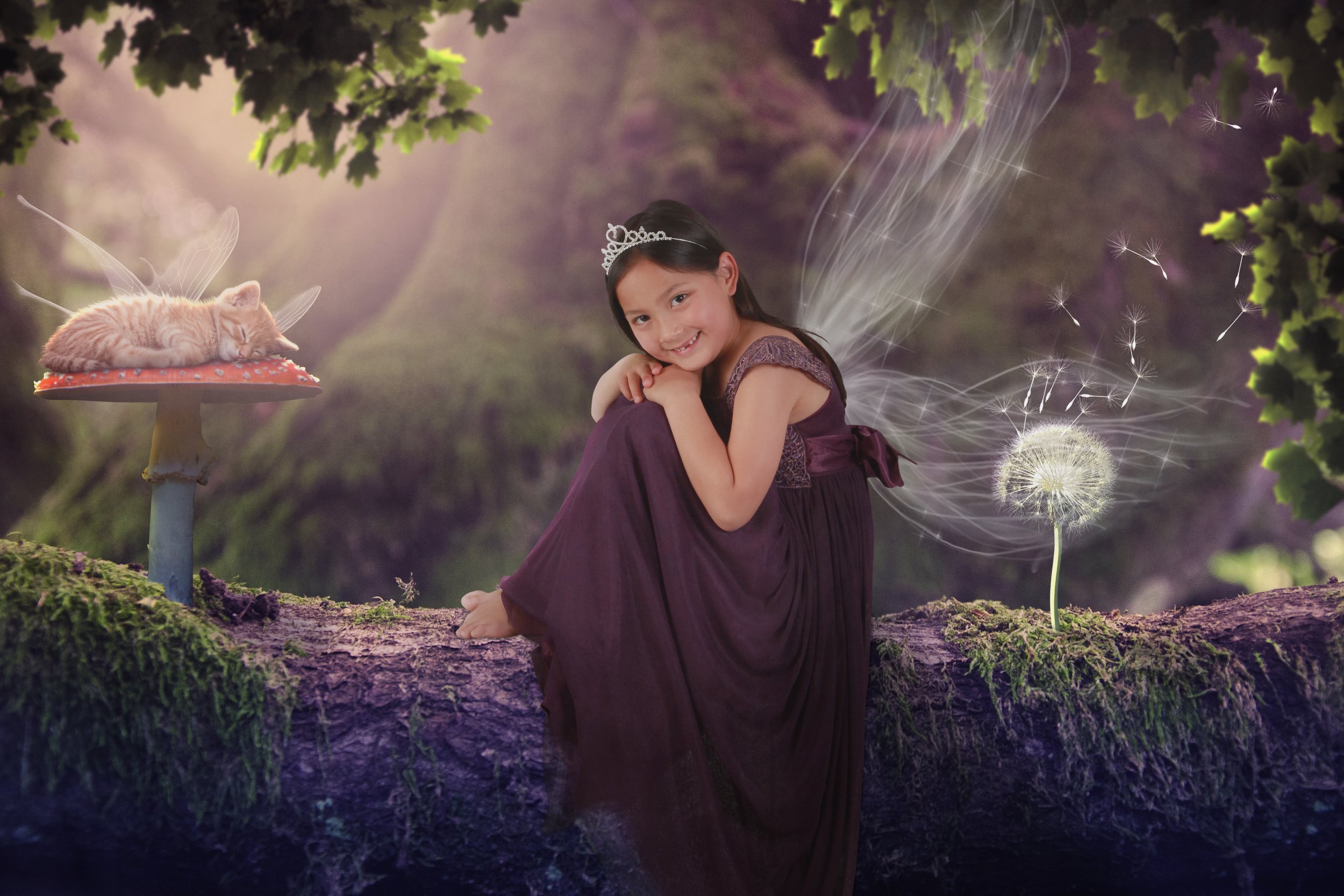 FairyKittenonLog-hamm.jpg