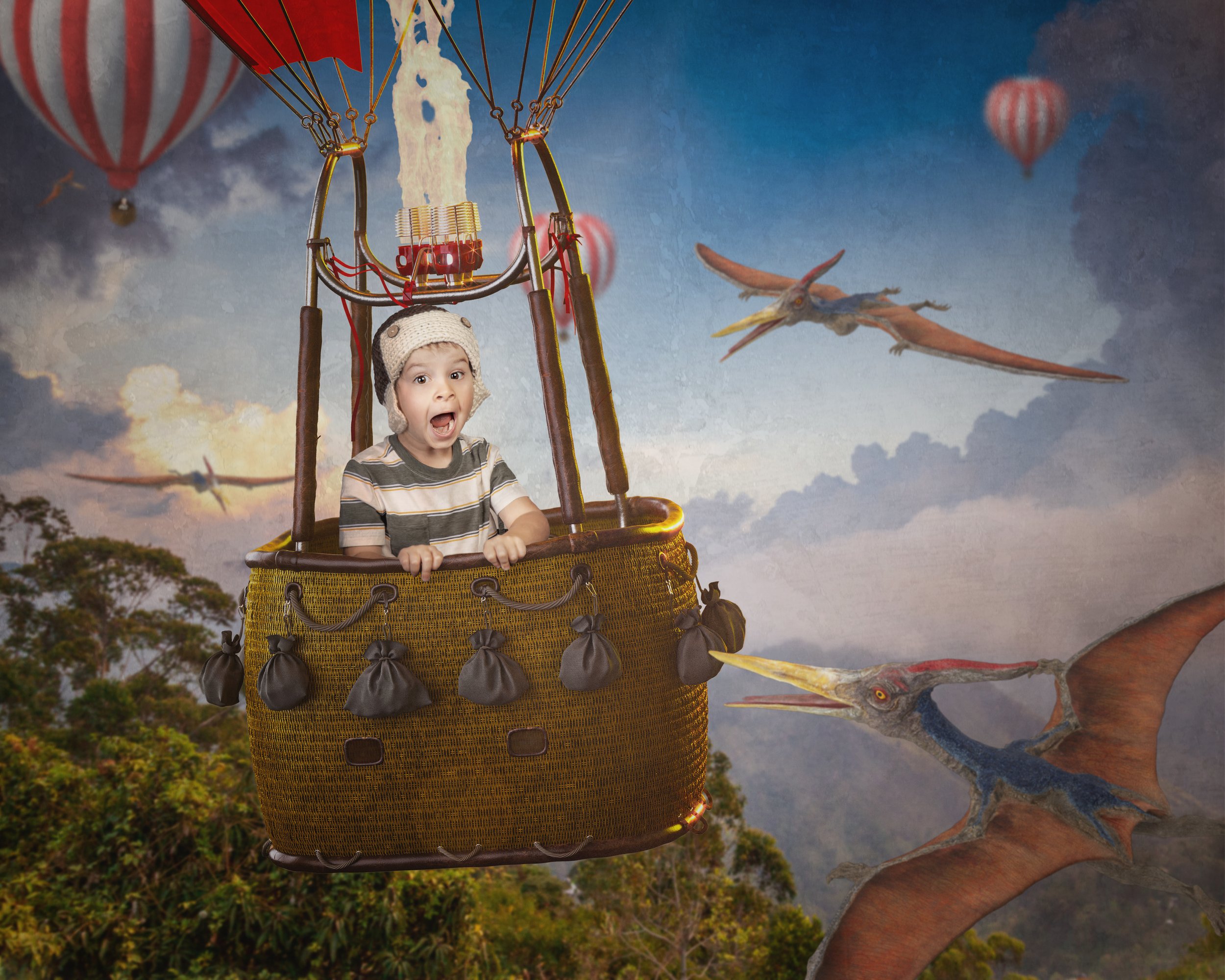 Hot Air Balloon Ride_final2.jpg