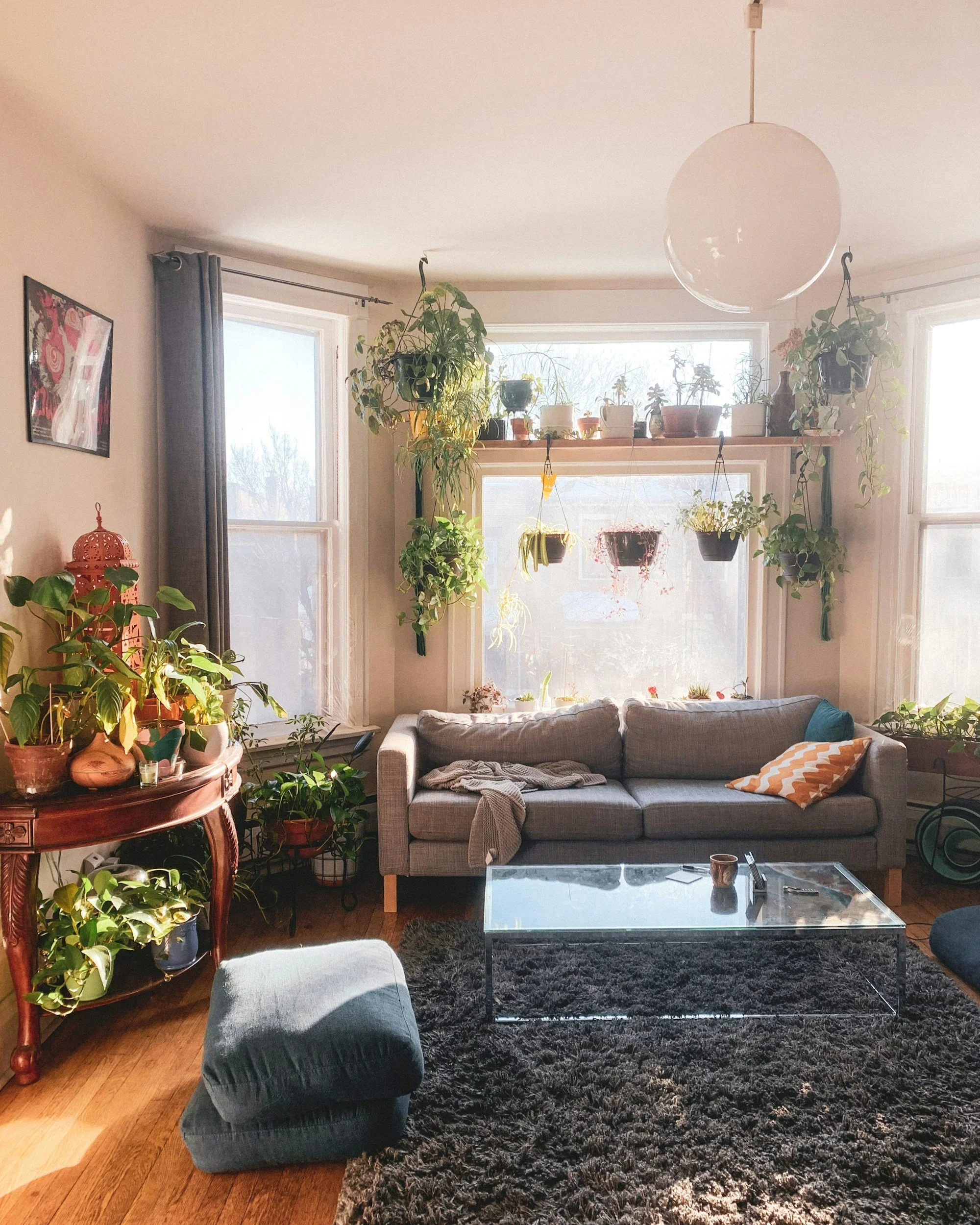 Bright living room with large windows, a gray sofa with a patterned pillow, and many potted plants on shelves and furniture.