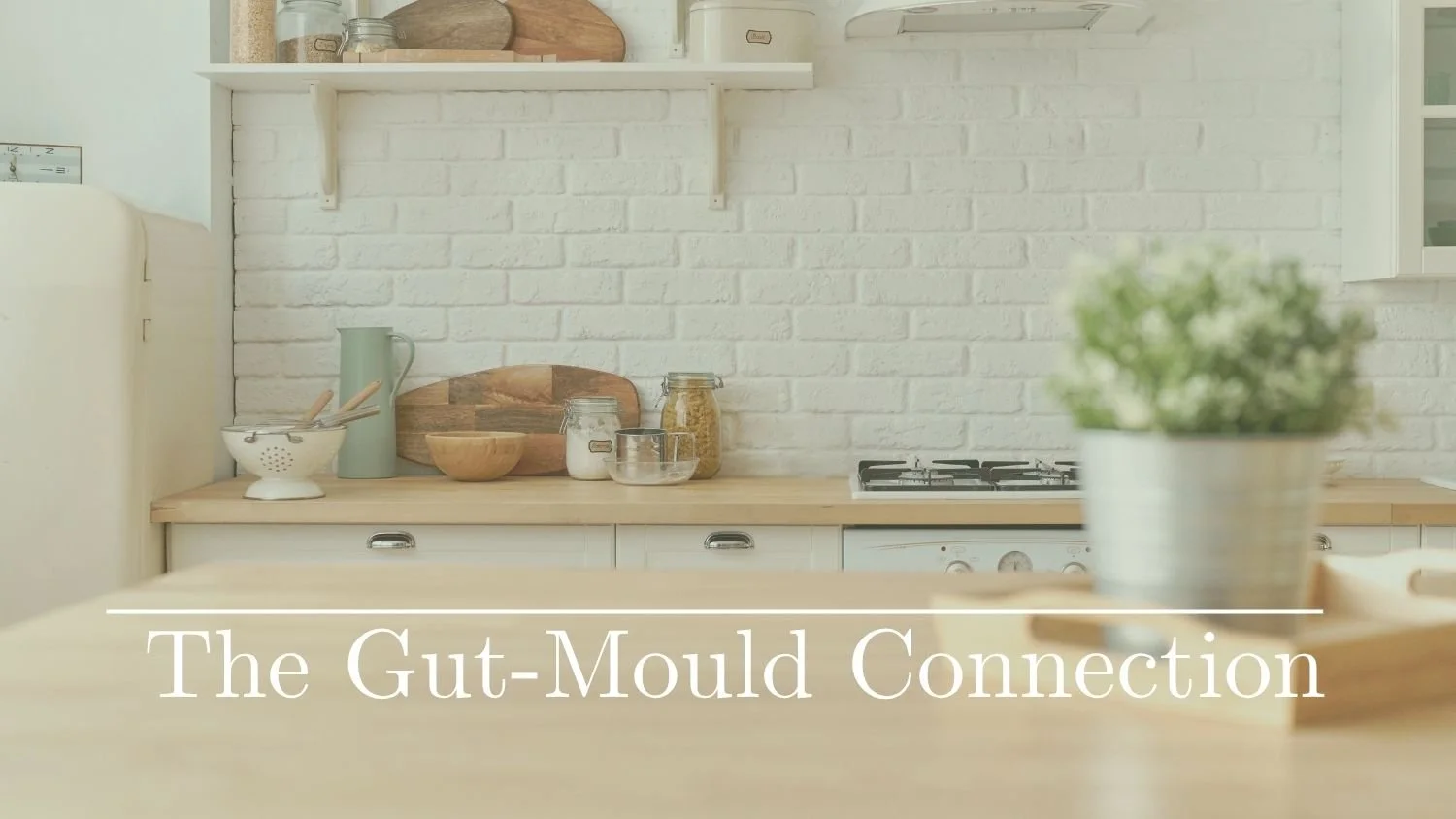 The Gut-Mould Connection: How a Water-Damaged Home Can Disrupt Your Digestion Long After Exposure Ends