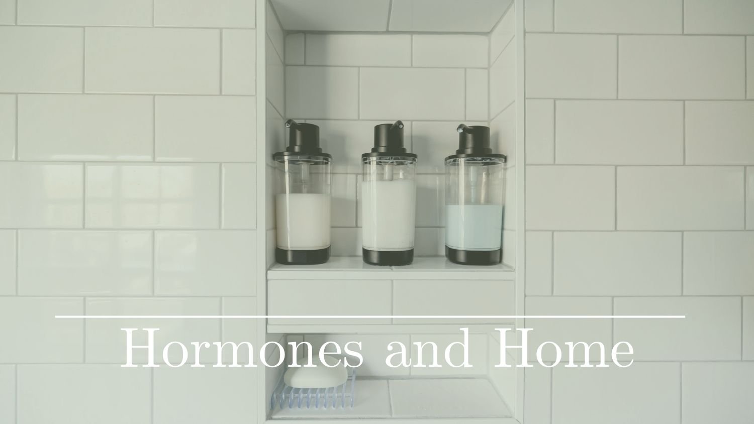 Hormonal Disruption and Your Home: The Environmental Connection Nobody Is Talking About