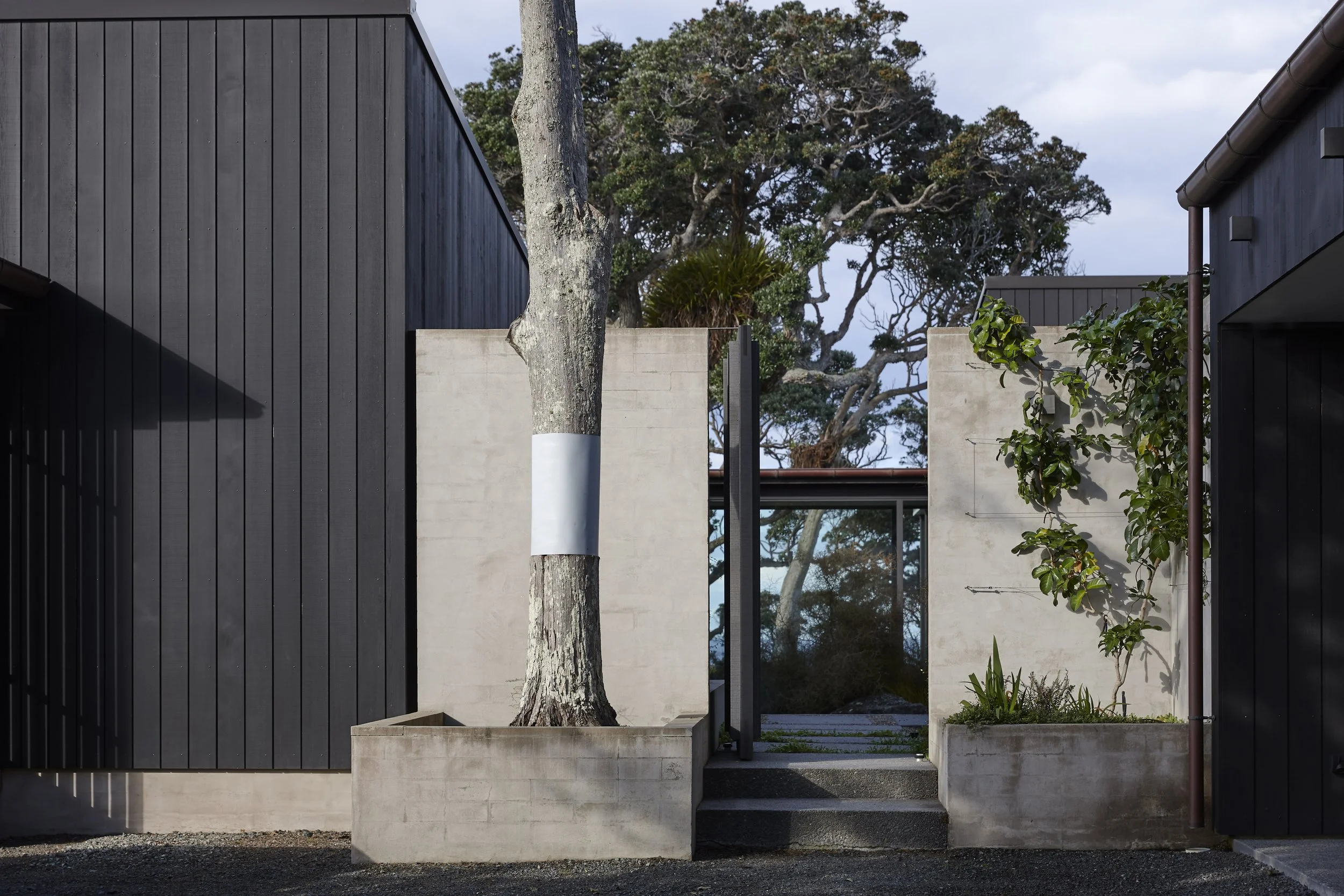 cedar-clad-architectural-homes-nz.jpg