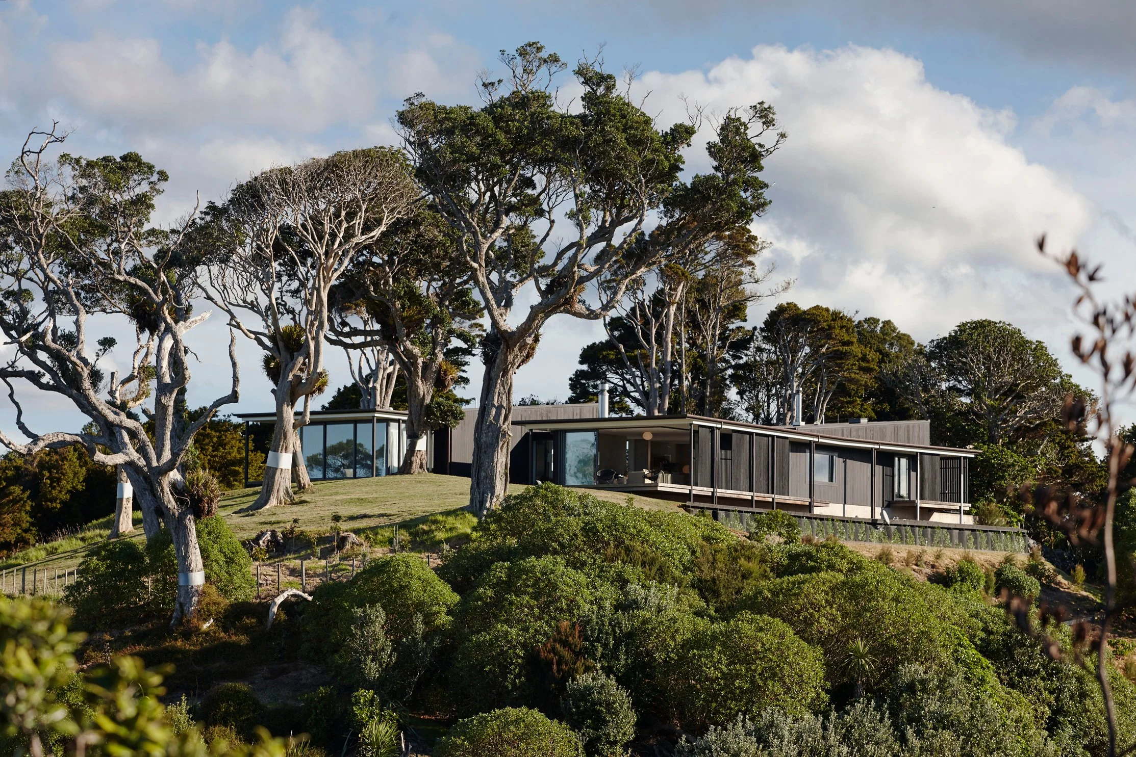 luxury-coastal-homes-mangawhai-heads.jpg