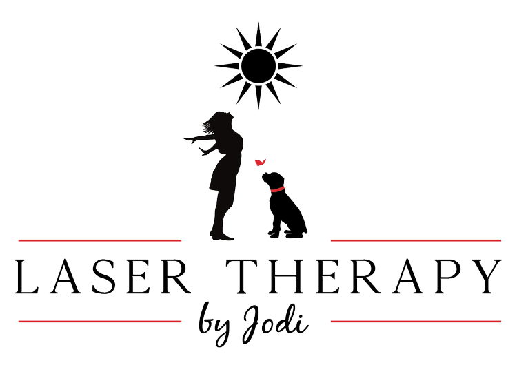Laser Therapy by Jodi website project