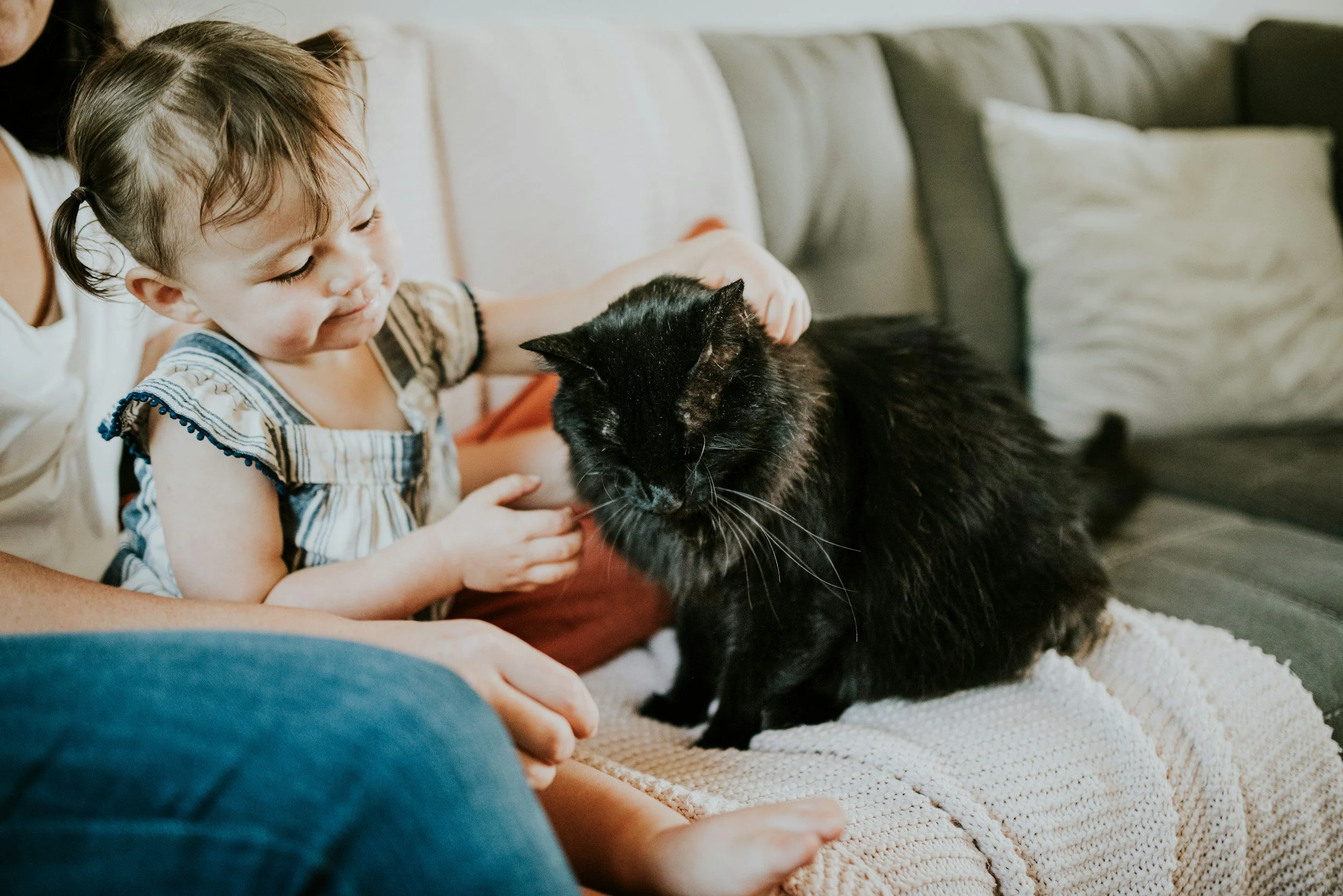 Who can be present during an at-home pet euthanasia?