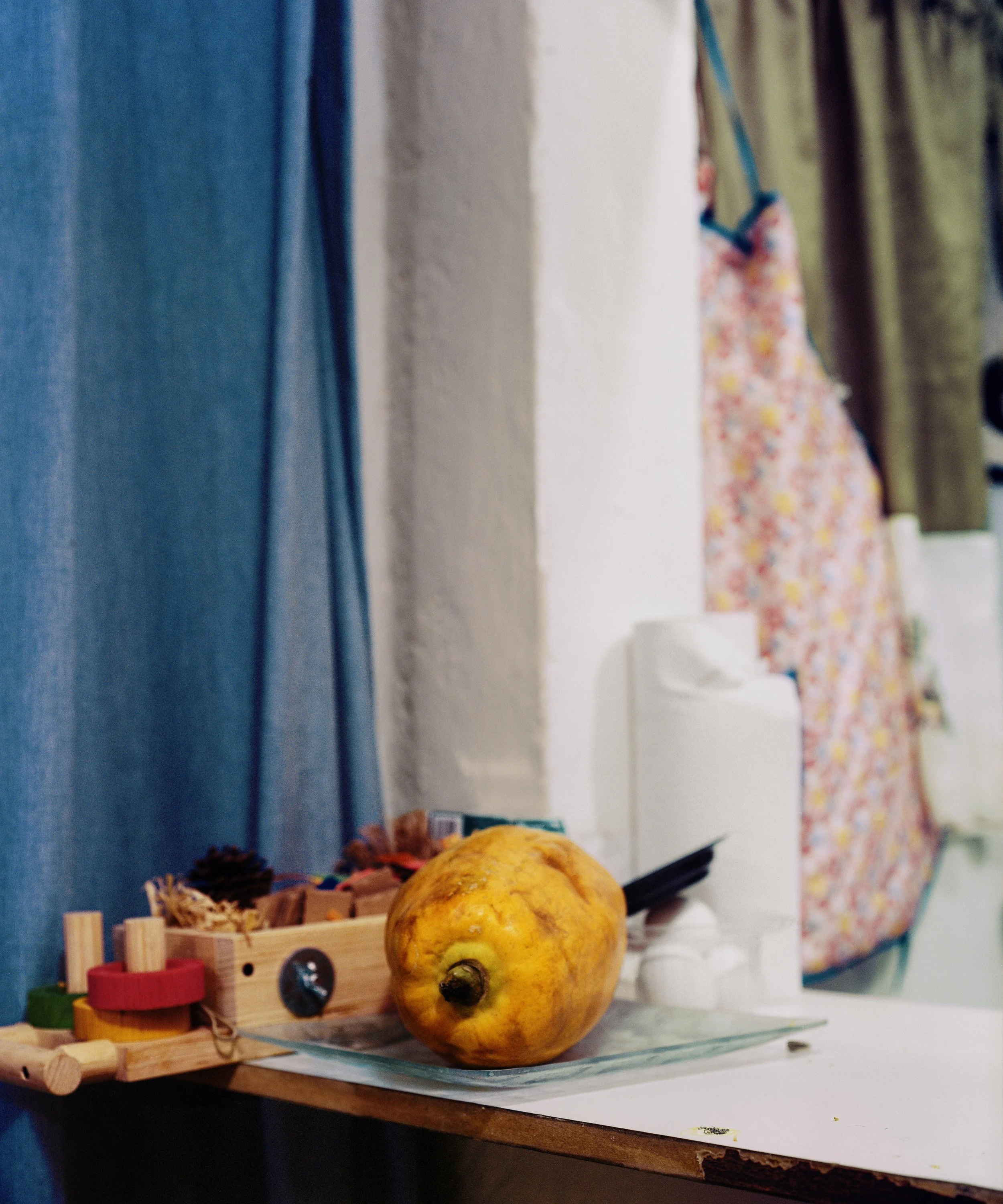 10-papaya_lejos printfile_PN.jpg