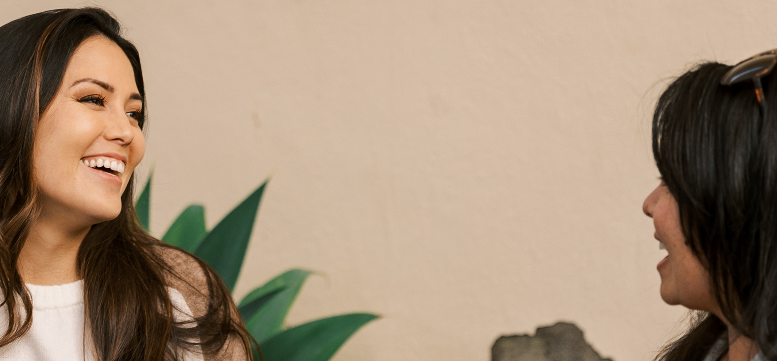 Two women smiling and having a conversation indoors, with a green plant and a beige wall in the background.