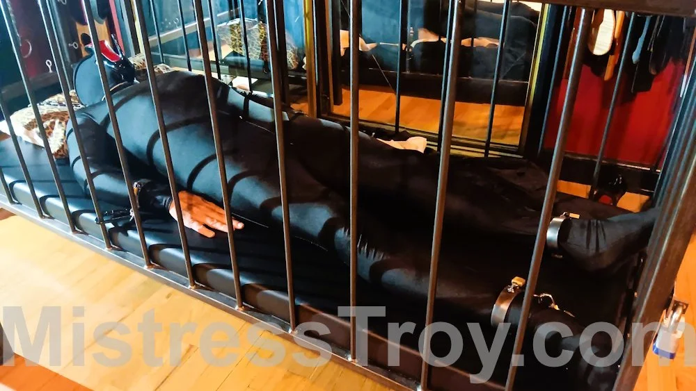 subject is prepared for a night in My cage