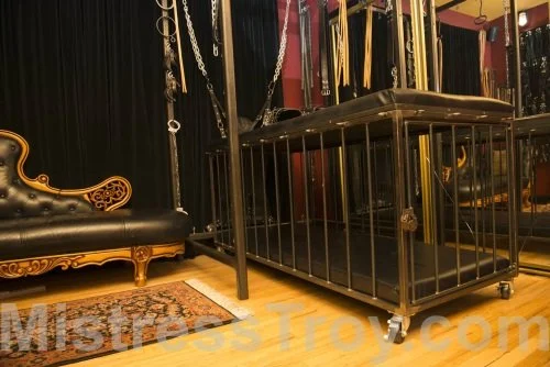 Mistress Troy's Dungeon