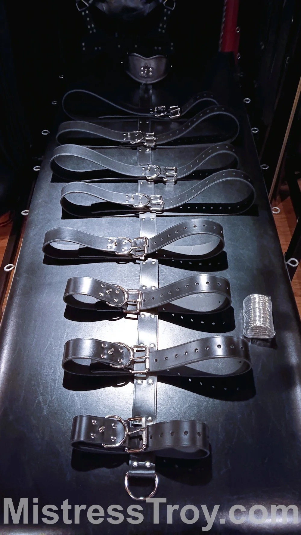 Sally's Toy Box Leather Body Harness