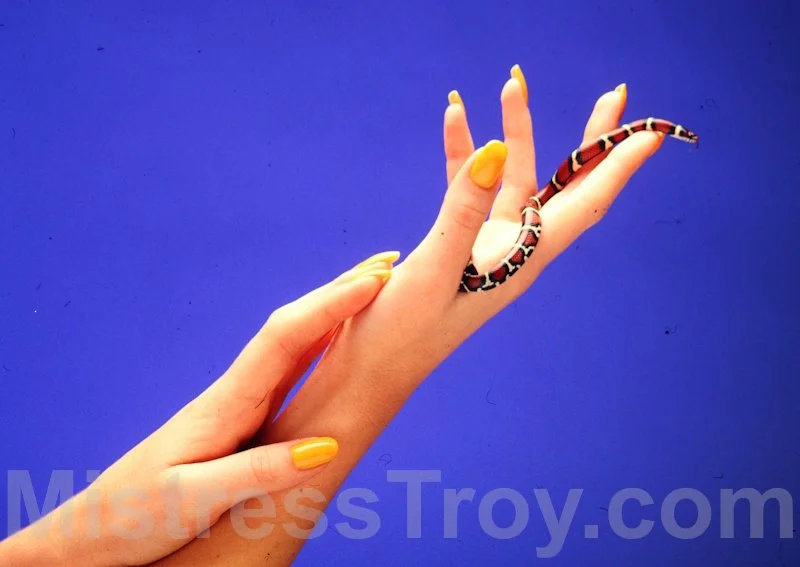 Hands Holding Snake