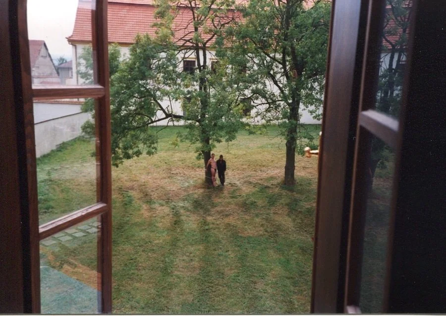 View from Mistress Troy's window at OWK