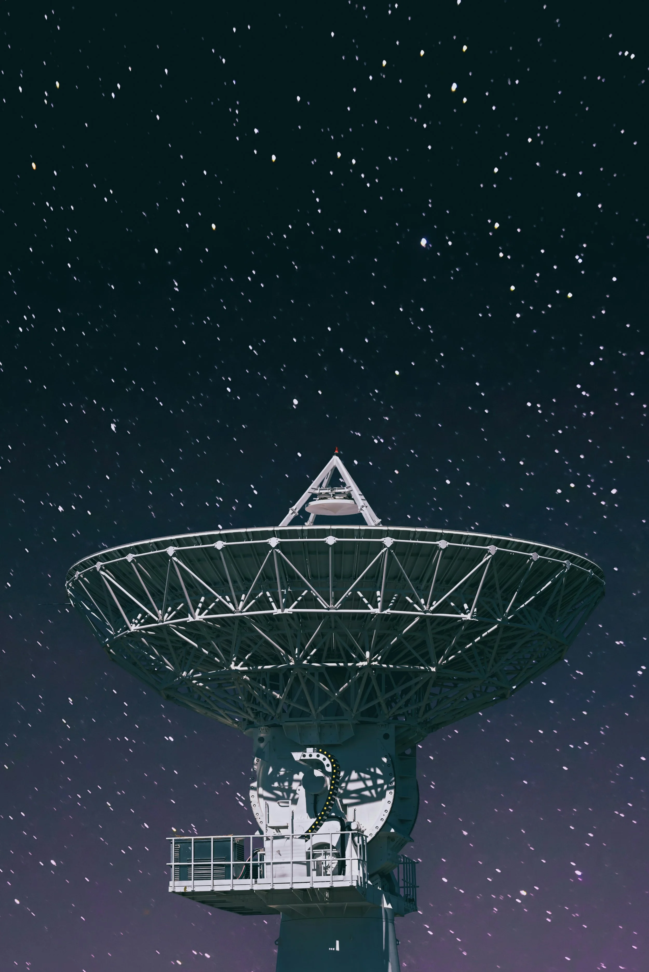 yang-b8nZU0GYsrg-unsplash.jpg