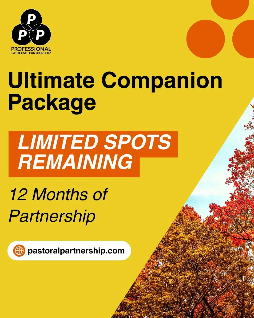 &quot;⏰ LIMITED SPOTS REMAINING: Ultimate Companion Package! Only a few spaces left for our most comprehensive offering - 10 sessions over 12 months for $4,200. This isn't just coaching; it's a year-long partnership in pastoral excellence. Perfect fo