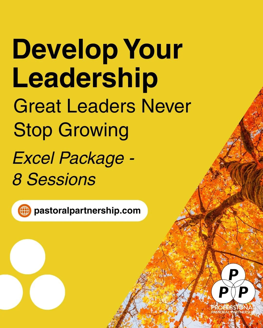 &quot;Great leaders never stop growing - especially during demanding seasons! 📚 September's ministry intensity reveals both strengths and growth areas in your leadership. Our Excel Package (8 sessions for $2,200) provides sustained support for leade