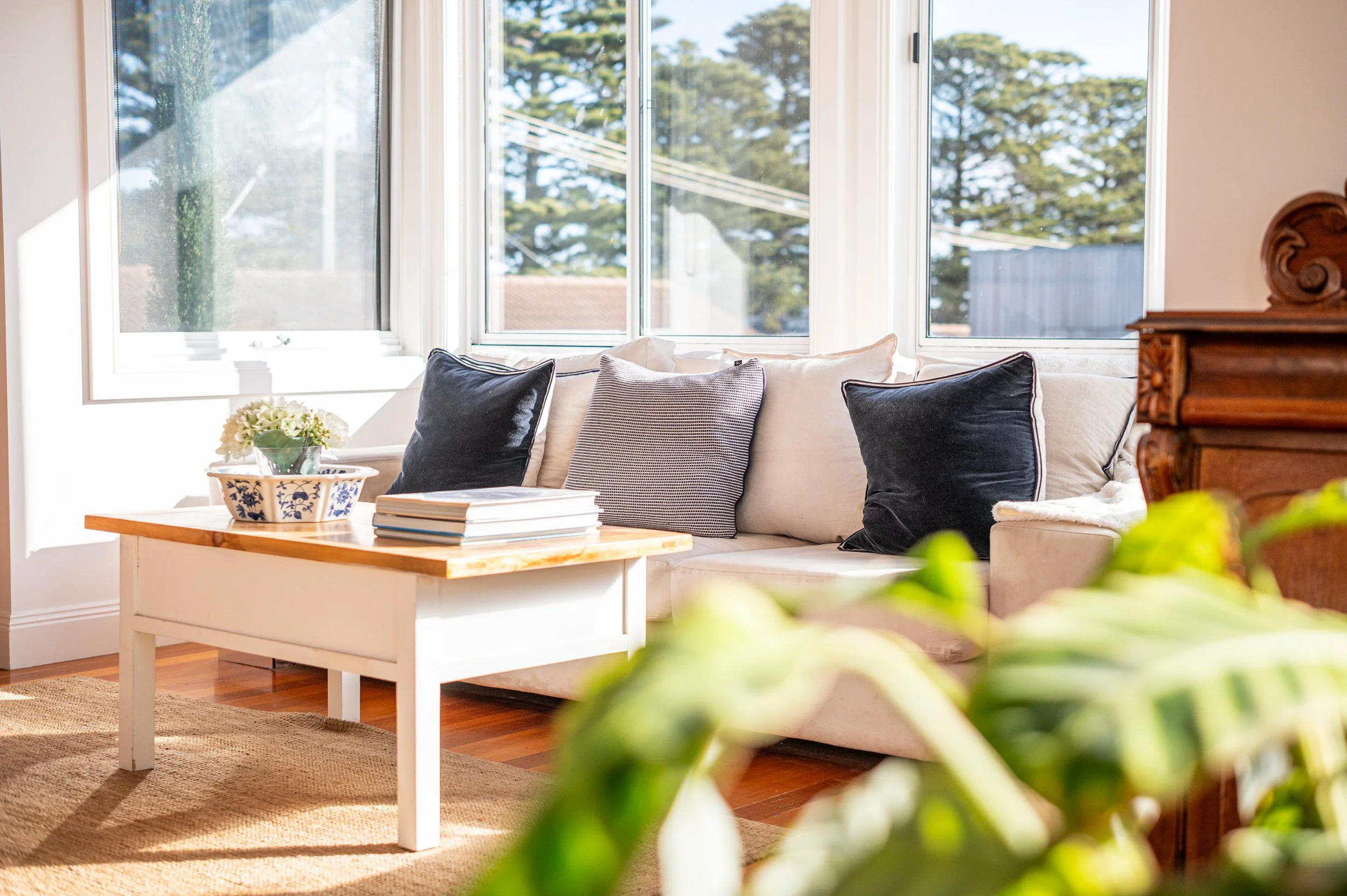 bright-and-inviting-living-room—professional-real-estate-photography-warrnambool-victoria—natural-light-interior-photo—modern-styled-furniture-and-cushions—greenery-and-lifestyle-detail—high-quality-architectural-photography—listed-image-real-estate-