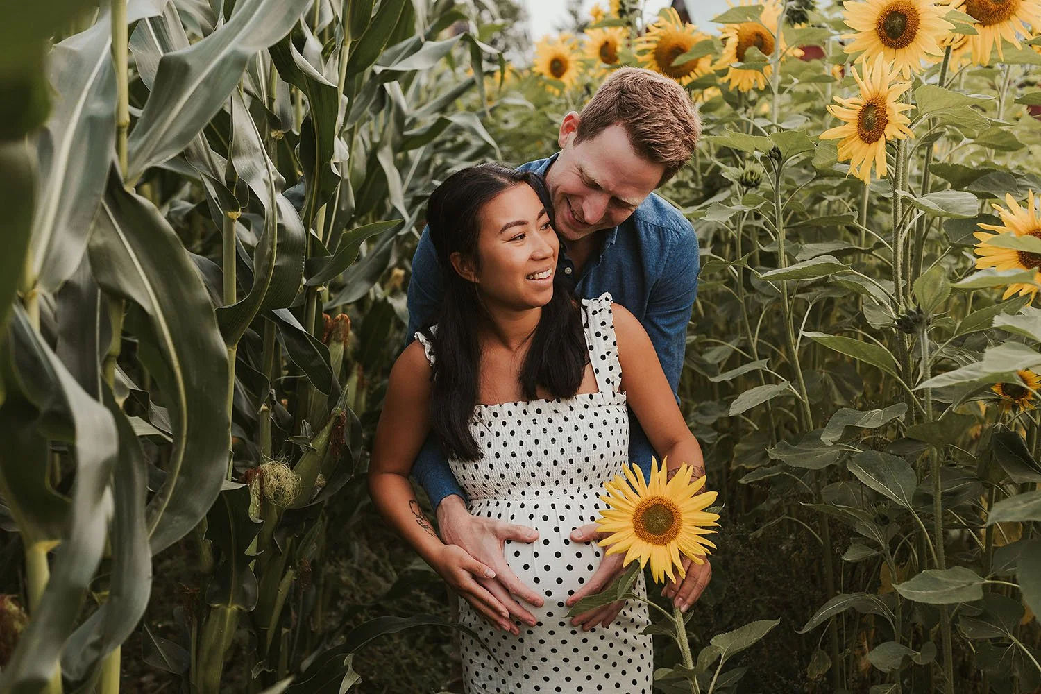 Et par som poserer i en åker med høye solsikker i Hokksund, hvor mannen holder hendene på kvinnens gravide mage.