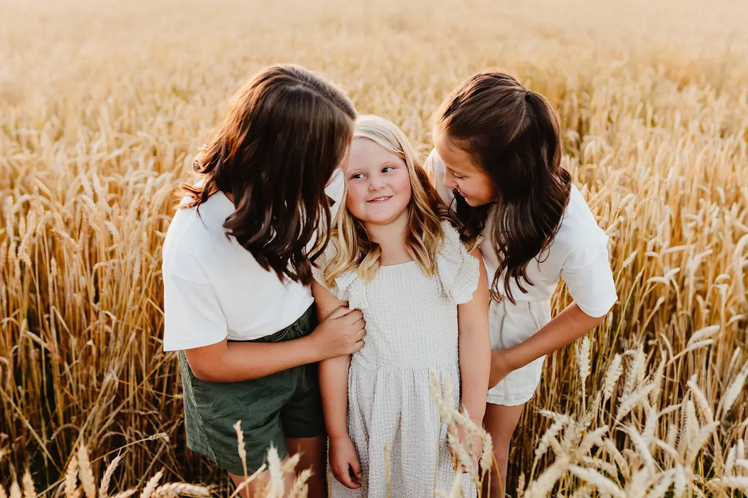 Tre søstre står tett sammen i en gyllen åker under familiefotografering i Hokksund.