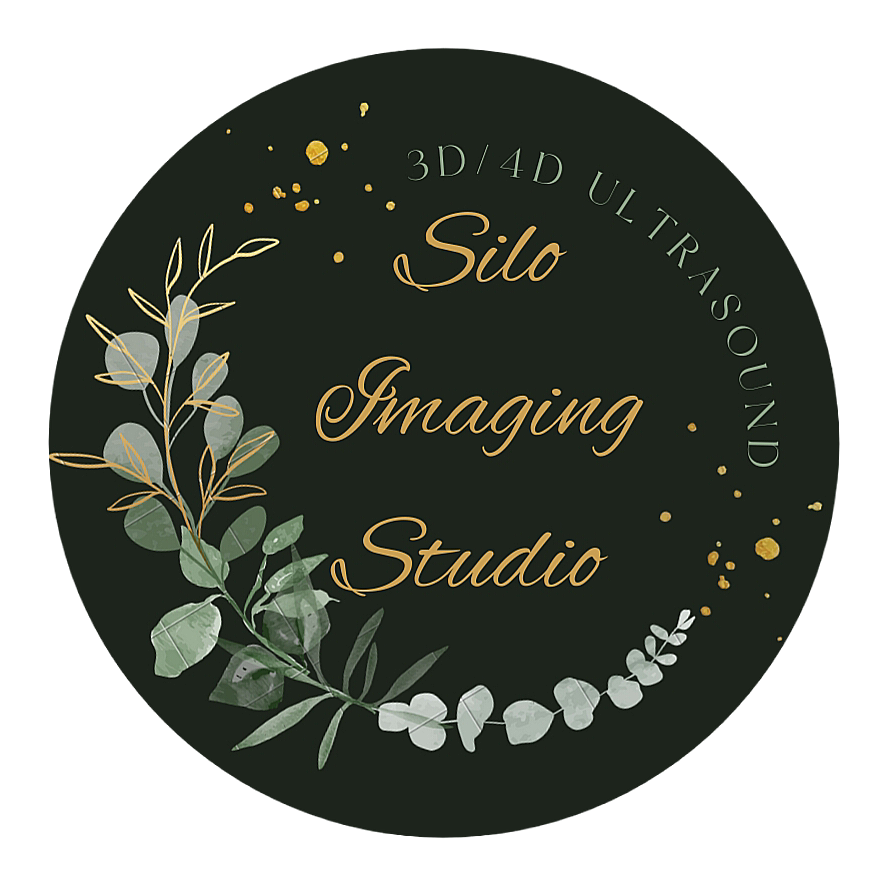 Silo Imaging Studio