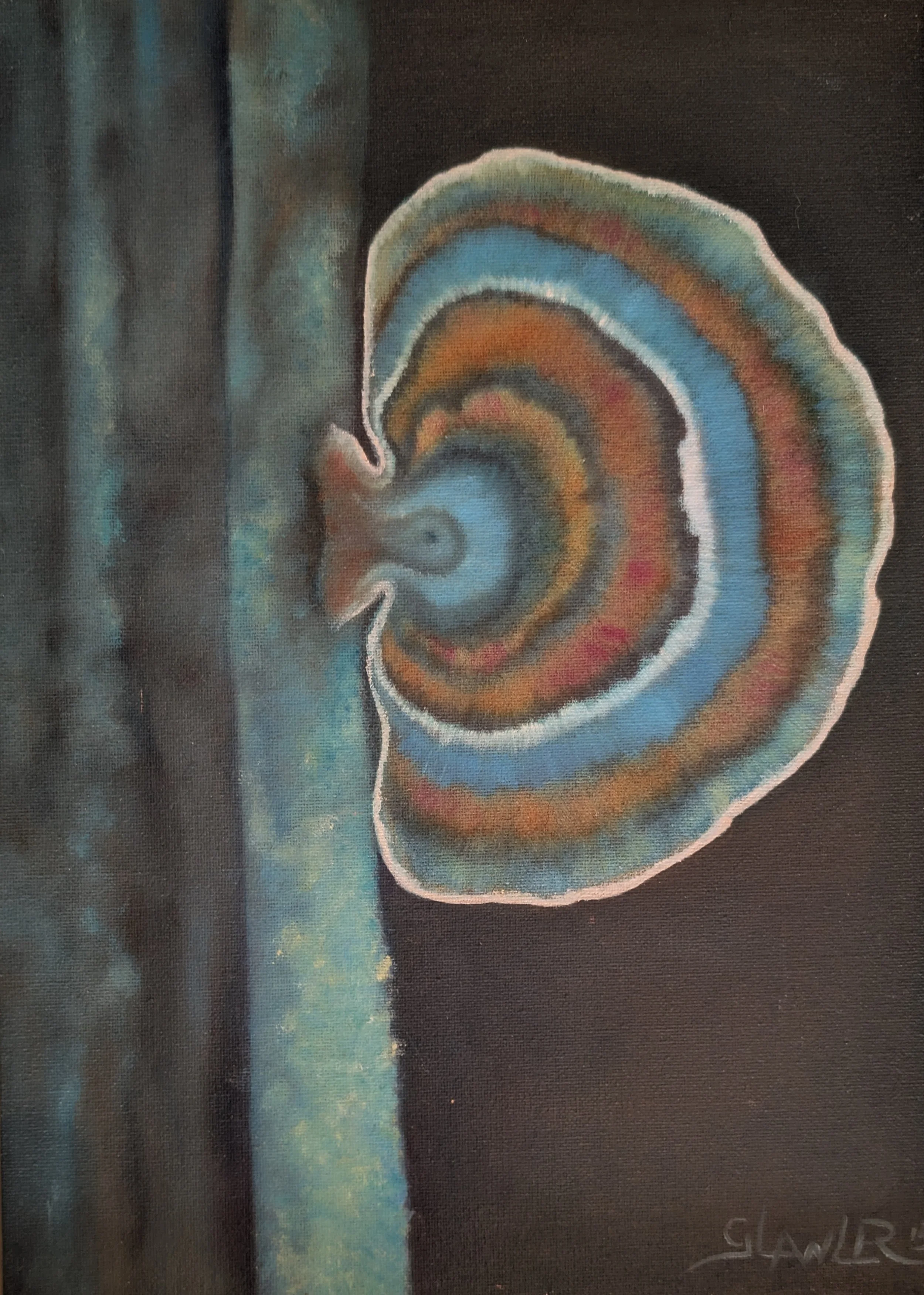 "Fungi" Oil Painting - Realism painting of colorful Fungi with concentric rings