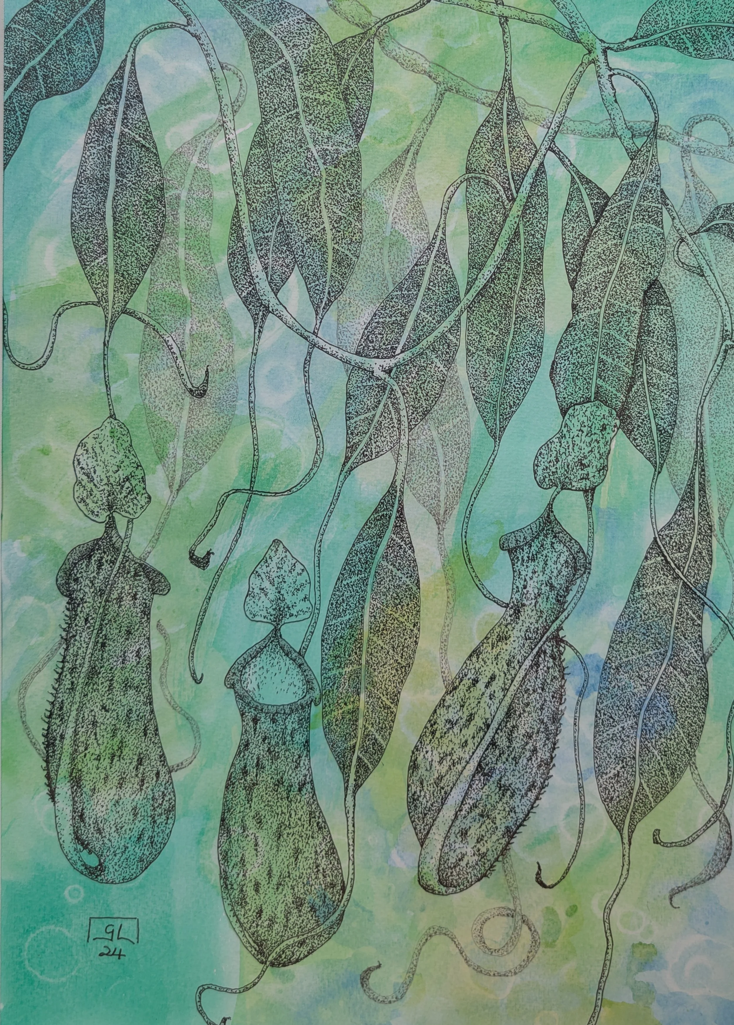 "Pitcher Plant" - Illustration of pitcher plants with detailed leaves on a green and blue watercolor background.