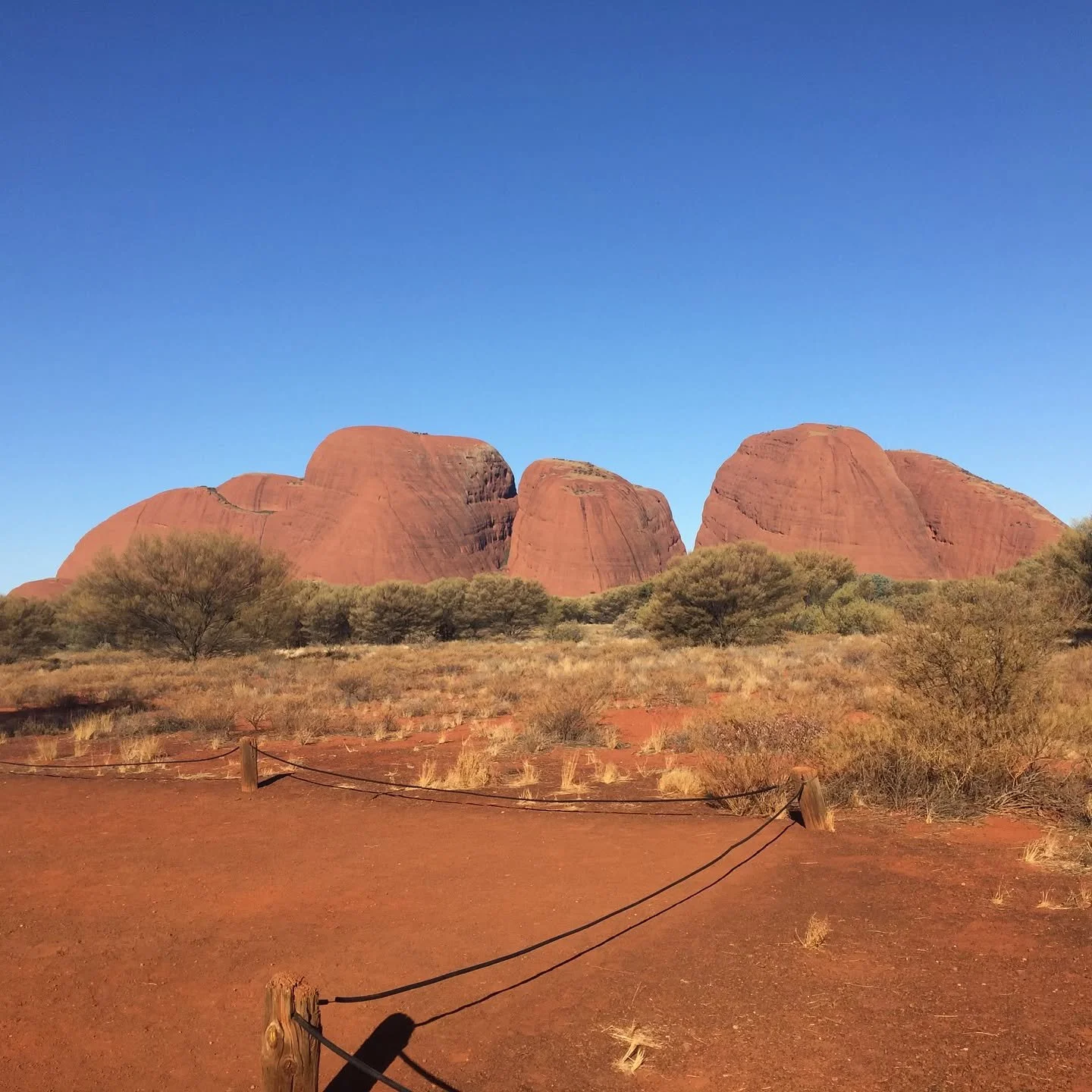 Uluṟu Kata Tjuṯa National Park, Kings Canyon and Palm Valley. Alice Springs Sep/Oct 2018. 🏜️🌴 #uluru #ulurukatatjutanationalpark #palmvalley #watarrkanationalpark #ntaustralia #landscapephotography #photography