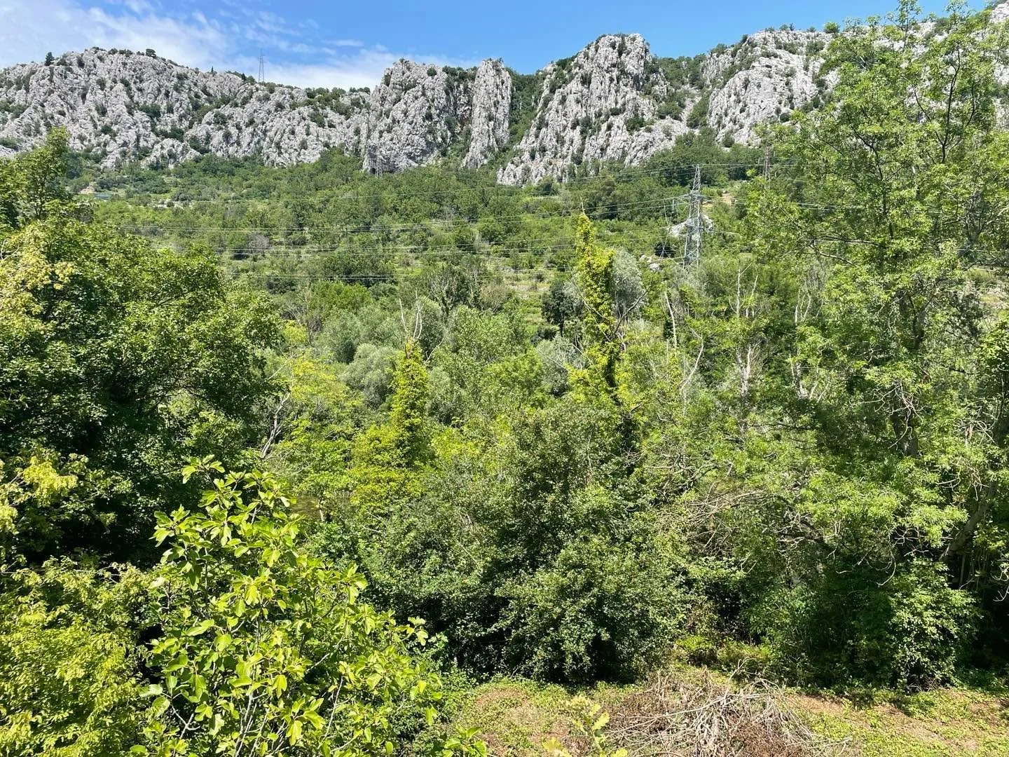 🇭🇷