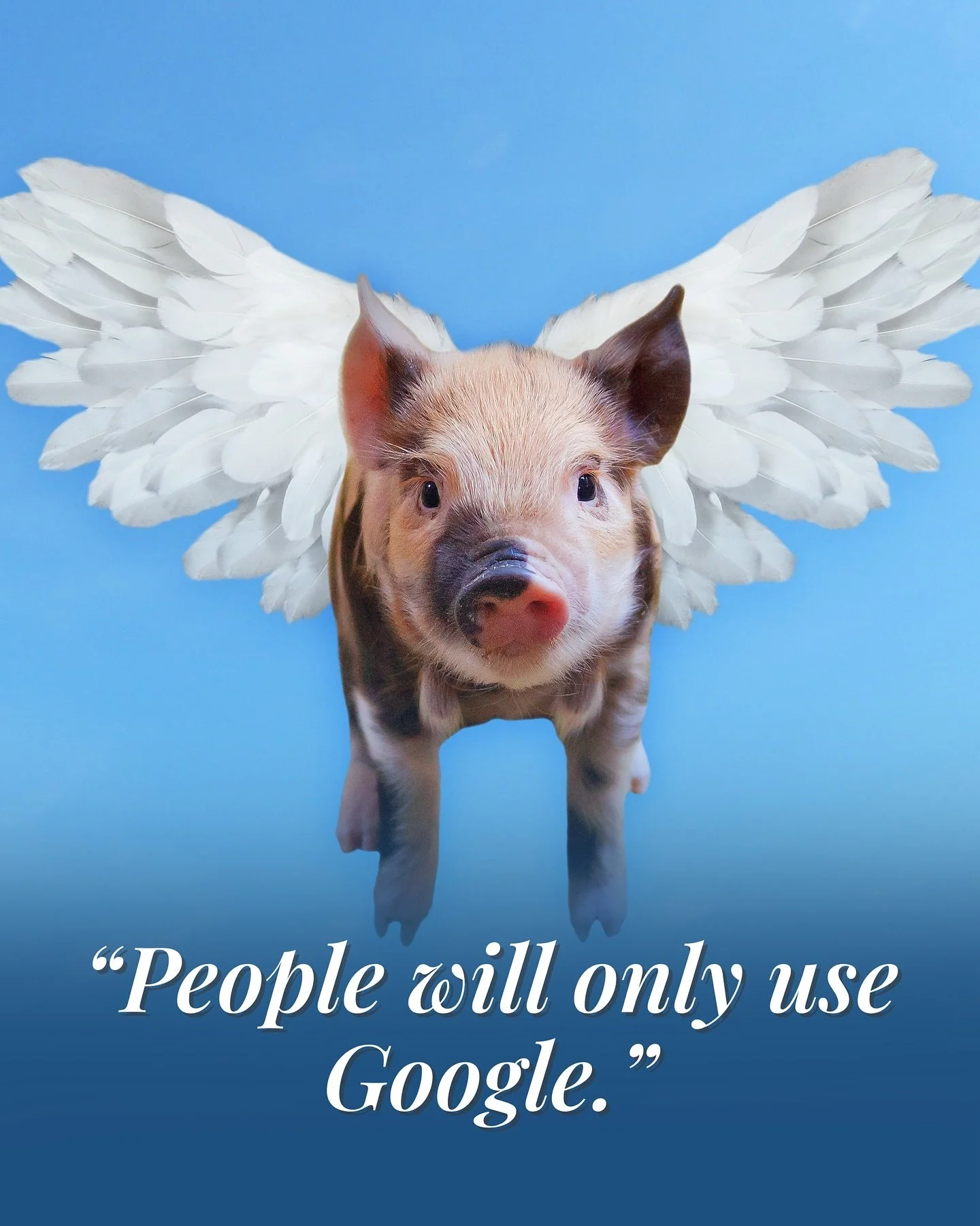 &ldquo;People will only use Google.&rdquo;
&ldquo;AI could never write good copy.&rdquo;
&ldquo;No one&rsquo;s going to trust machine-made content.&rdquo;
&ldquo;No one will ever use social media to buy products&rdquo; 

Right..... And pigs will neve